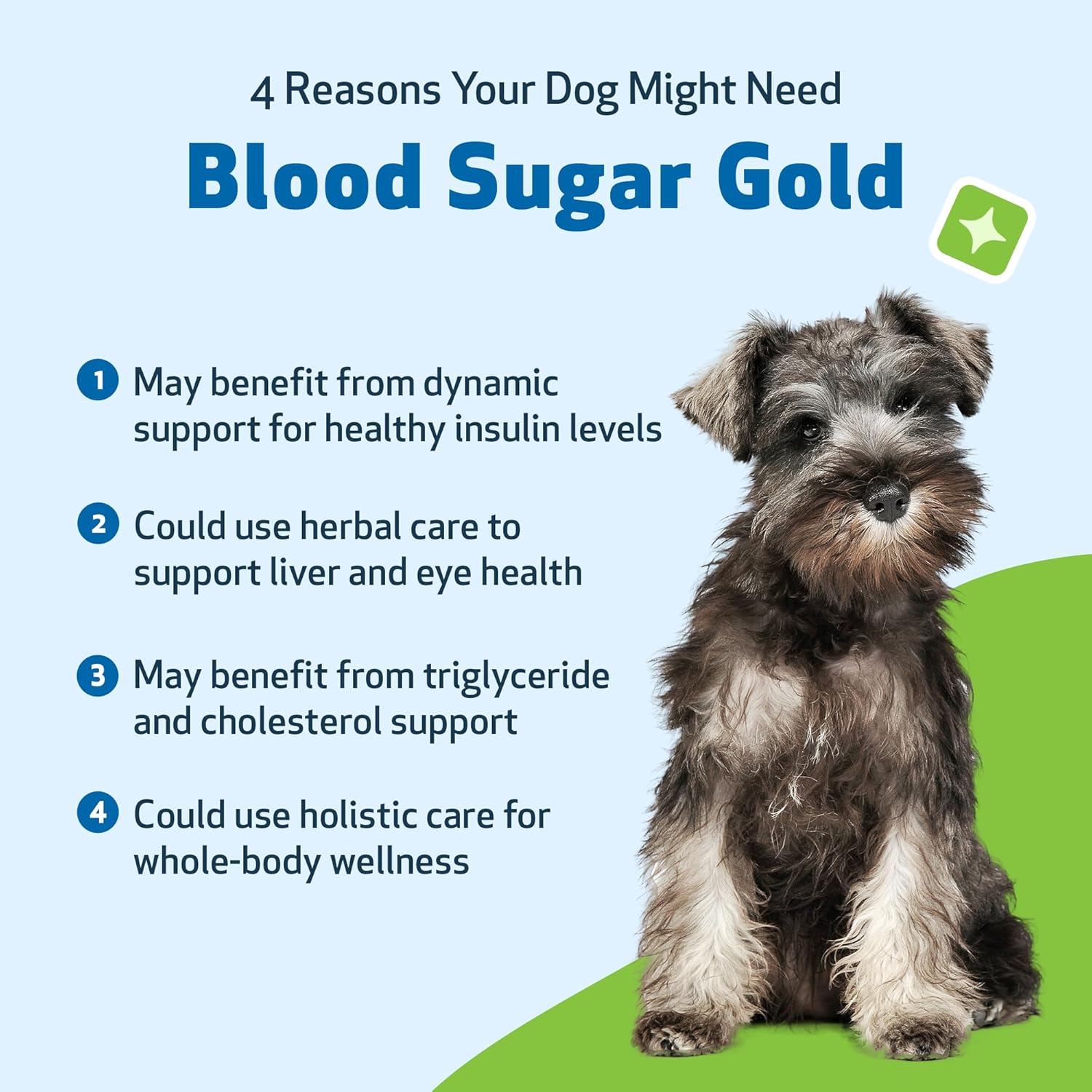 Natural Blood Sugar Support Supplement for Dogs & Cats - 4 oz Value Size - Promotes Healthy Blood Sugar Levels in Pets with Diabetes - Pet Wellbeing