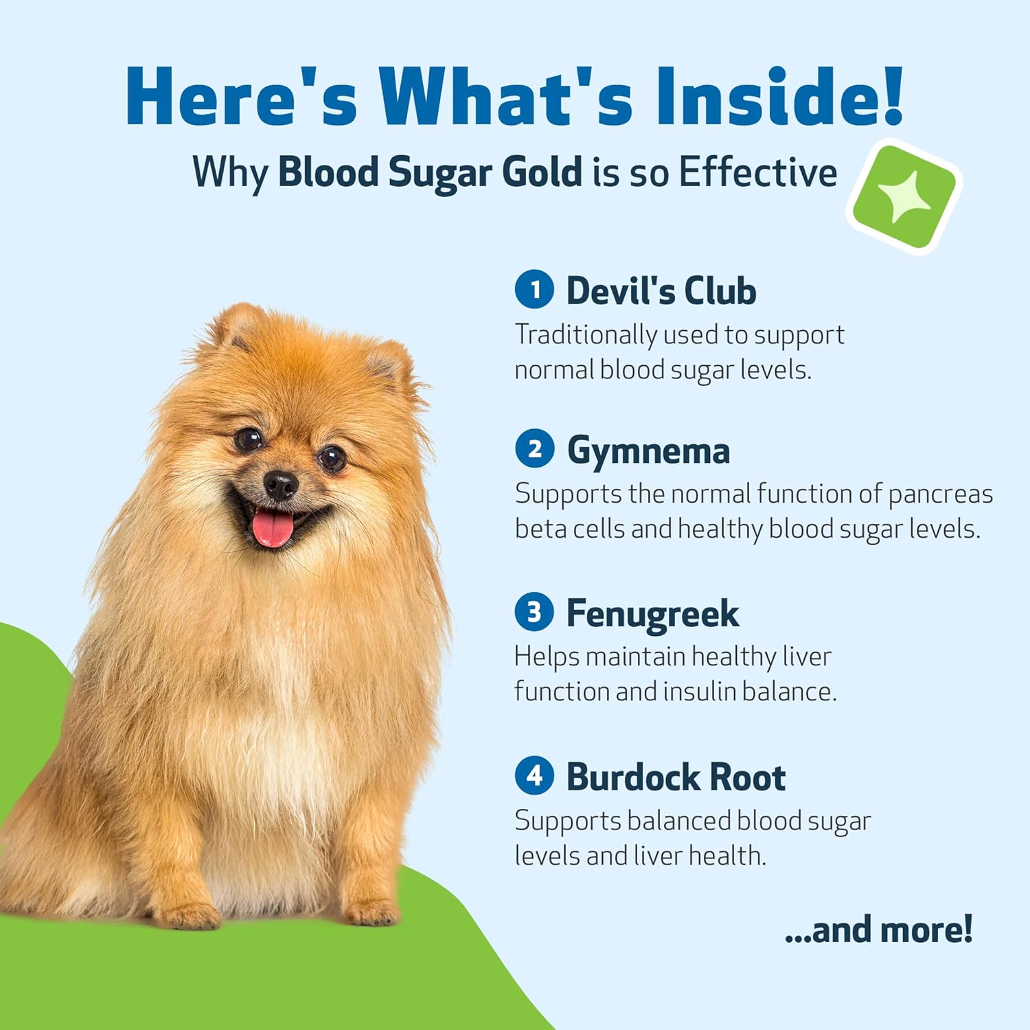 Natural Blood Sugar Support Supplement for Dogs & Cats - 4 oz Value Size - Promotes Healthy Blood Sugar Levels in Pets with Diabetes - Pet Wellbeing