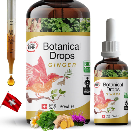 Natural Botanical Drops with Ginger and Digestive Enzymes - Organic Formula for Wellness, Immune Support, Inflammation Relief, and Blood Circulation - 50ml