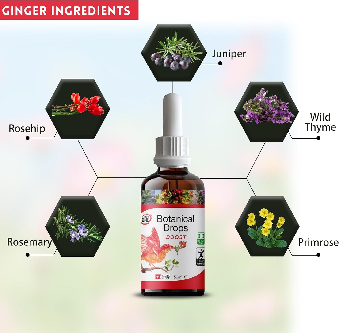 Natural Botanical Metabolism Boost and Weight Control Liquid Drops for Women & Men - Best Fat Control and Immune Support - 50ml