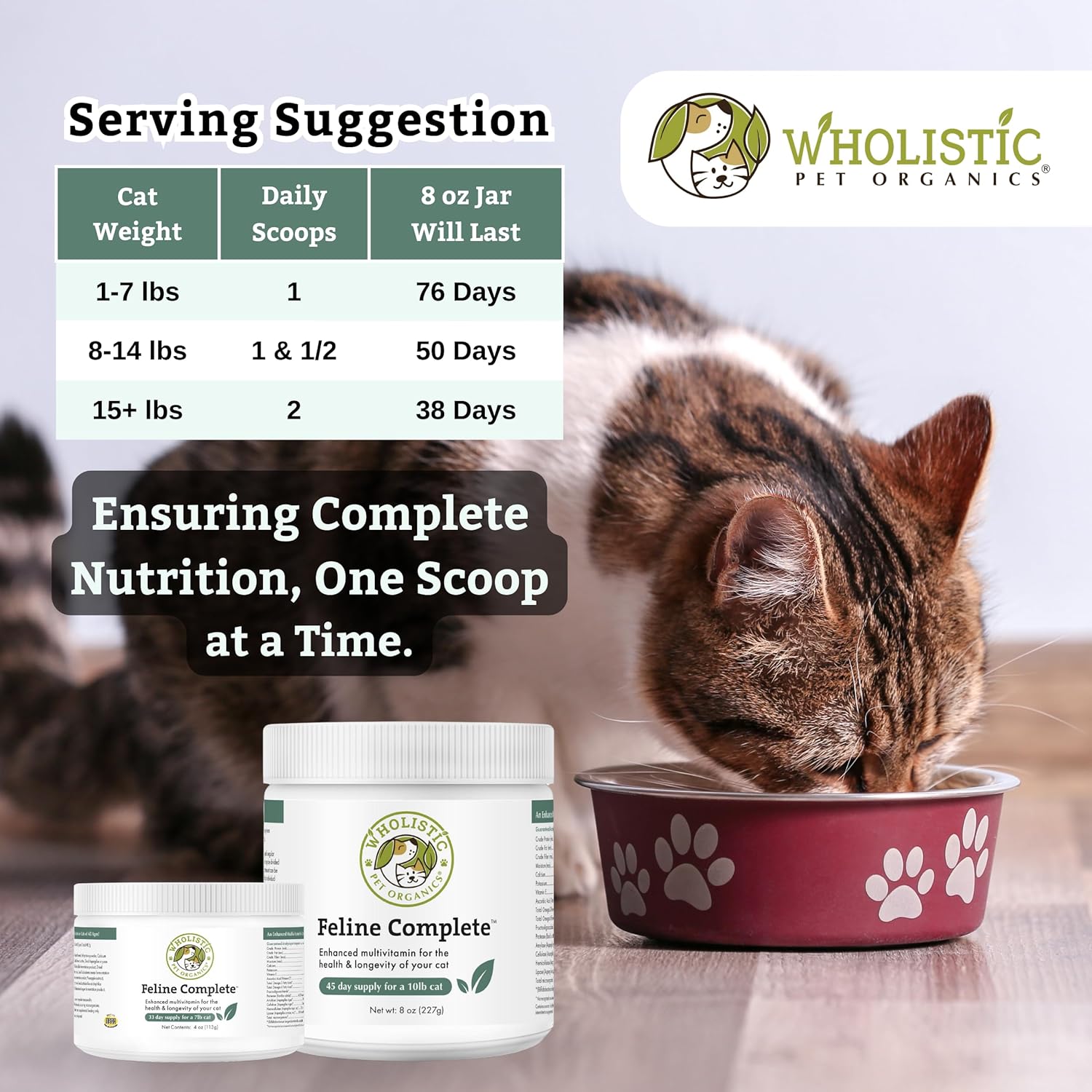 Natural Cat Food Supplement - Wholistic Pet Organics Feline Complete - 8 Oz - Multivitamin & Probiotic Powder - Digestive Support for Cats