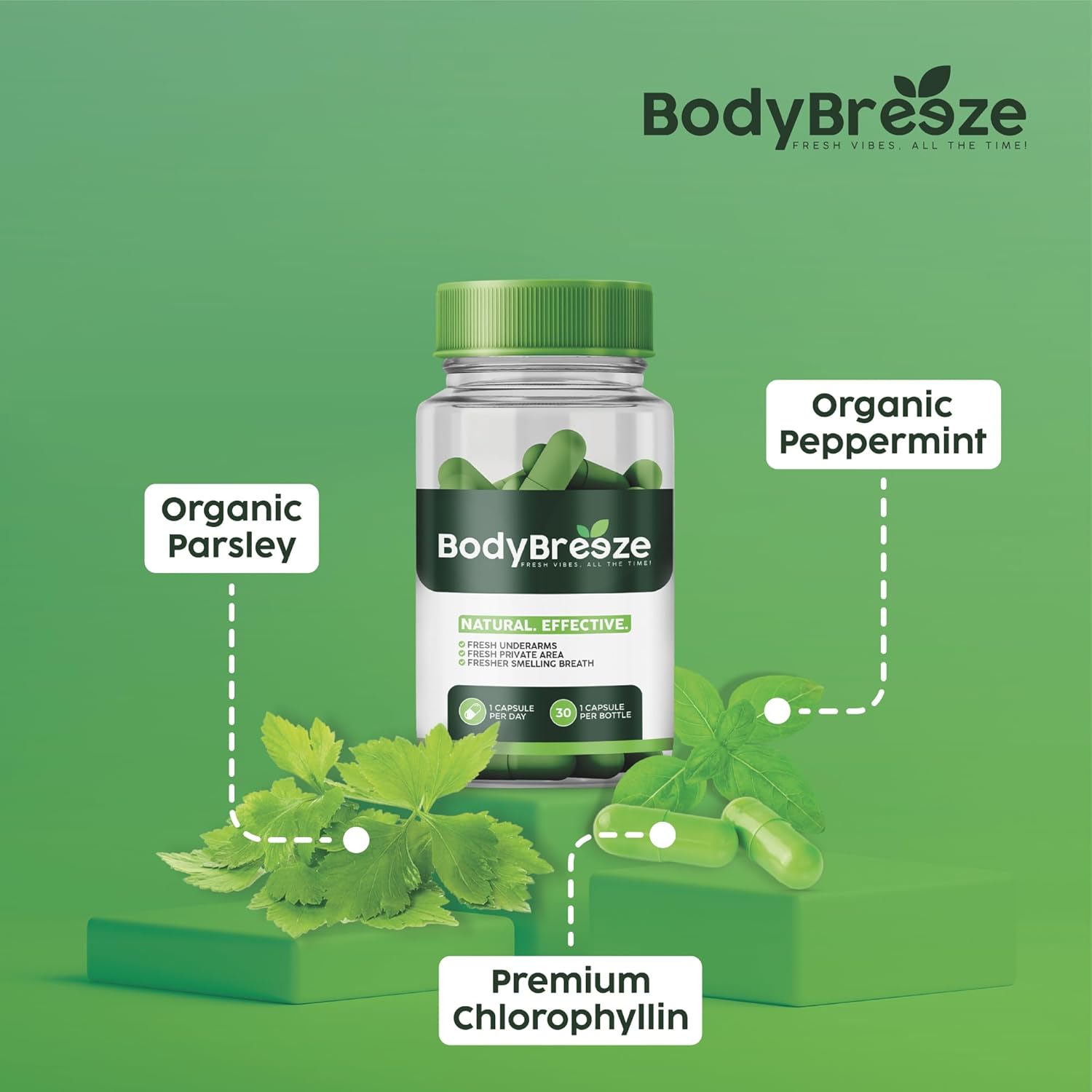 Natural Chlorophyll Supplement for Body Odor, Gut Health, and Fresh Breath - 90 Vegan Capsules for Detox Support and Skin Health - Internal Deodorant for Men and Women