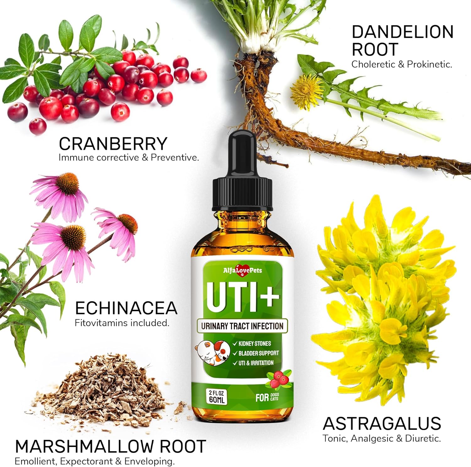 Natural Cranberry Supplement for Dogs and Cats - UTI and Bladder Stone Treatment - Supports Kidney and Bladder Health - All Ages and Breeds - 2 Oz