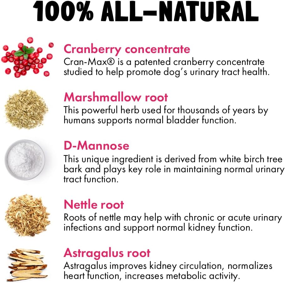 Natural Cranberry UTI Chews for Dogs - Kidney & Bladder Support, D-Mannose, Immune System Booster - 120 Chews