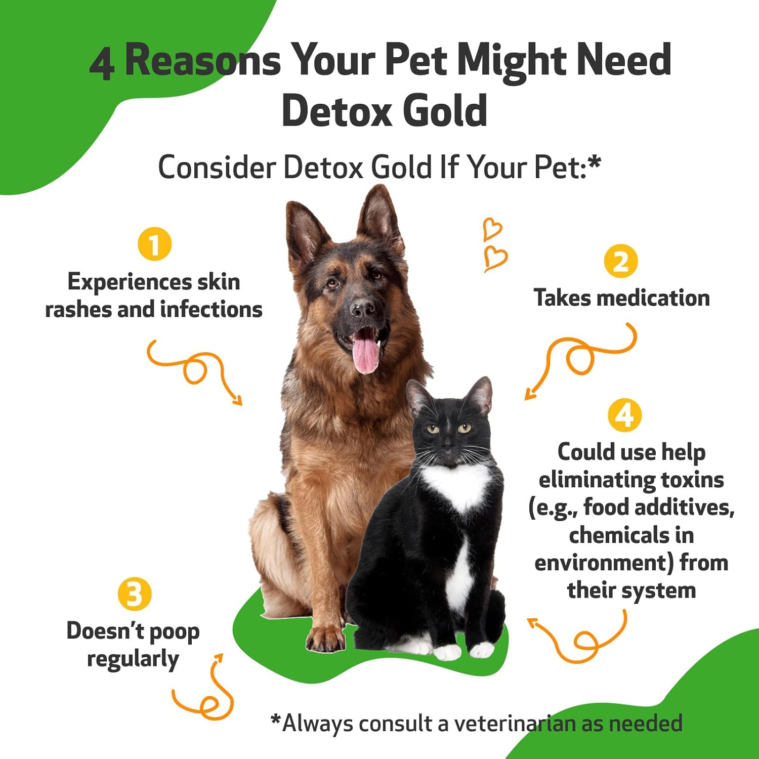 Natural Detox Support Supplement for Dogs & Cats - Gentle Detoxification, Immune System Boost, Veterinarian-Formulated Herbal Blend - 4 oz