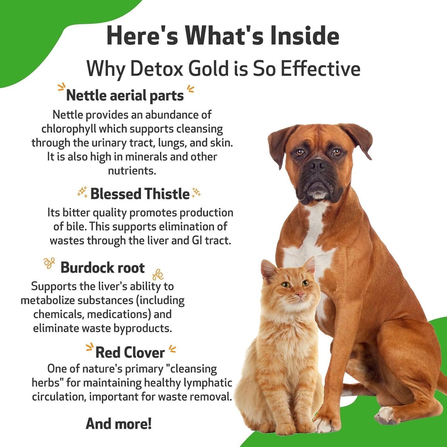 Natural Detox Support Supplement for Dogs & Cats - Gentle Detoxification, Immune System Boost, Veterinarian-Formulated Herbal Blend - 4 oz