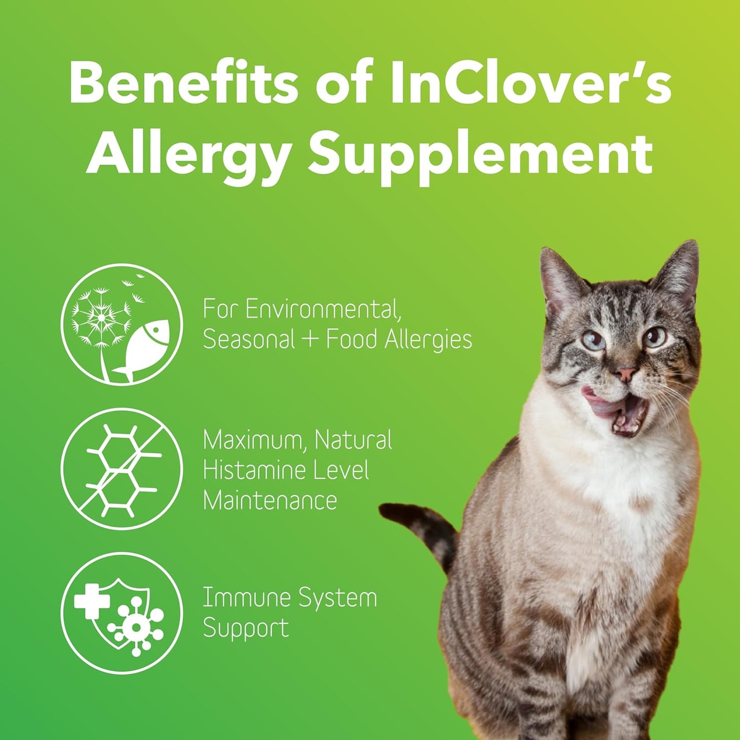 Natural Dog Allergy Relief Supplement with Turmeric & Mangosteen - BioResiliant Treat Powder for Seasonal Allergies, Histamine Balance Support