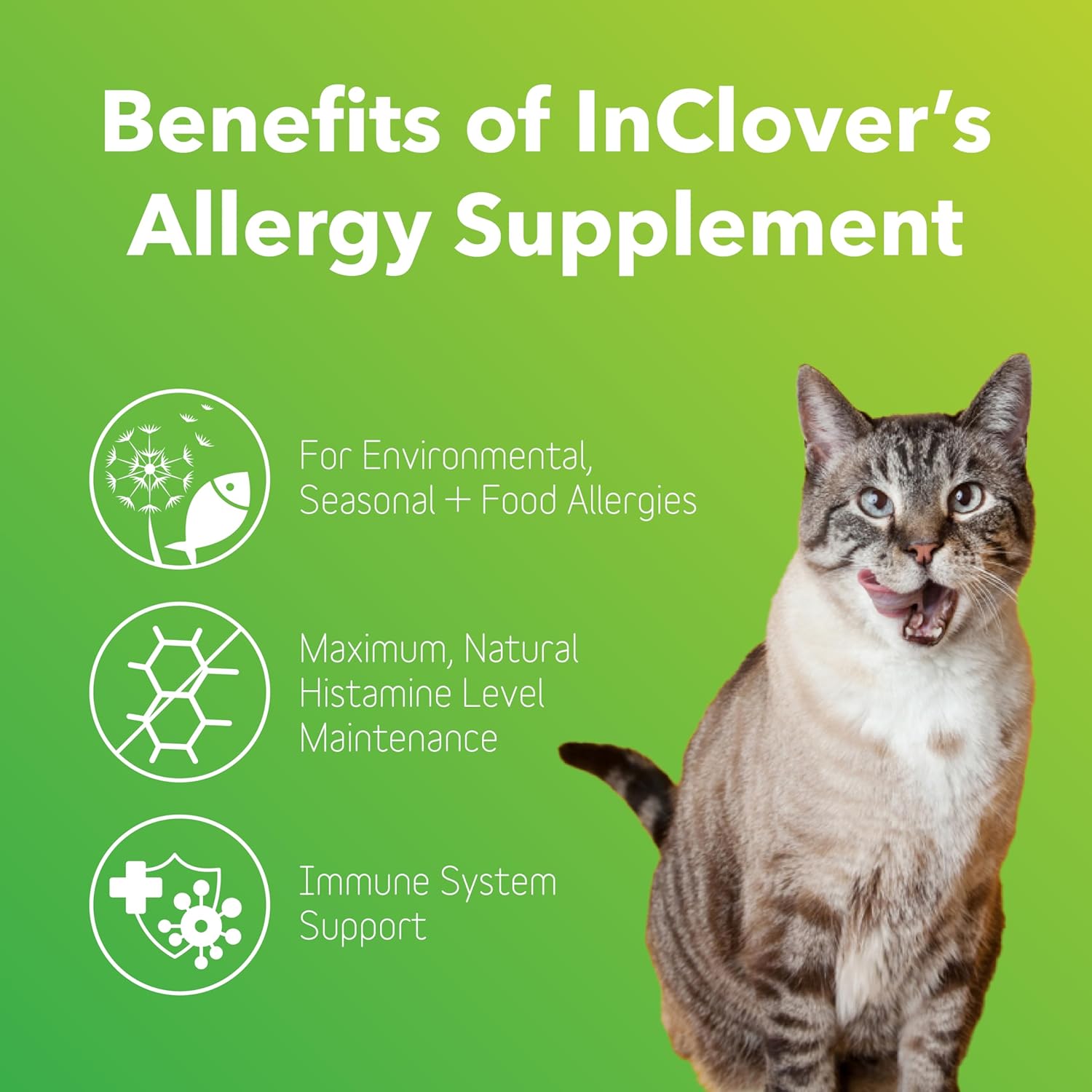 Natural Dog Allergy Relief Supplement with Turmeric & Mangosteen - BioResiliant Treat Powder for Seasonal Allergies, Histamine Balance Support