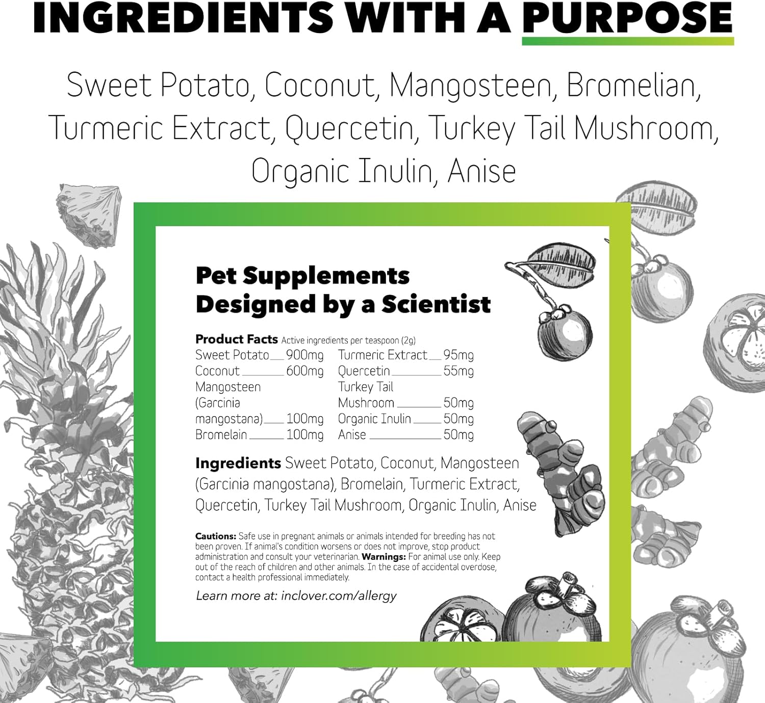 Natural Dog Allergy Relief Supplement with Turmeric & Mangosteen - BioResiliant Treat Powder for Seasonal Allergies, Histamine Balance Support