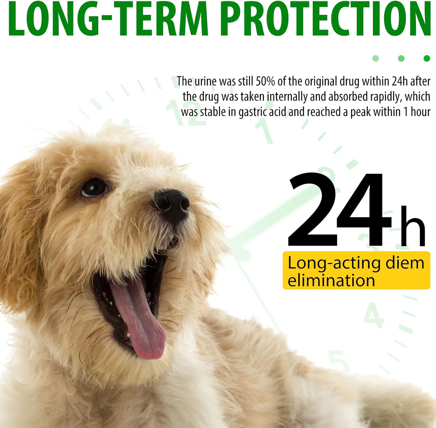 Natural Dog Antibiotics for Allergy Relief & Itch, Multivitamin for Dogs - 60ml / 2 Fl Oz