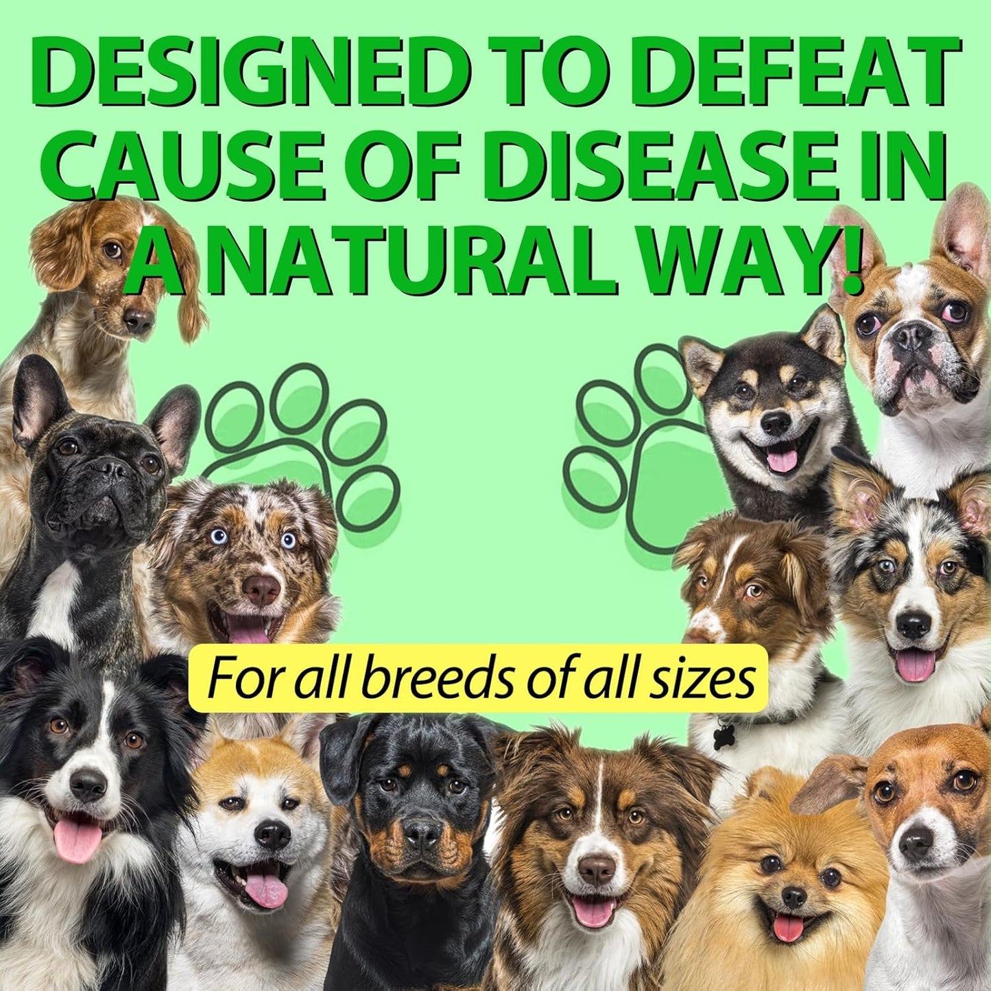 Natural Dog Antibiotics for Allergy Relief & Itch, Multivitamin for Dogs - 60ml / 2 Fl Oz