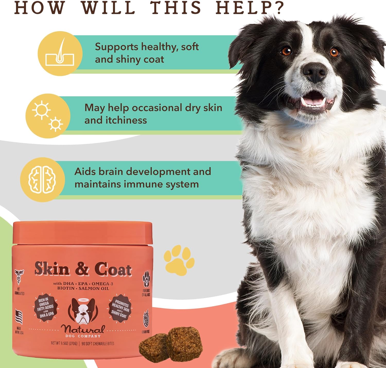 Natural Dog Company Skin and Coat Chews 2-Pack with Salmon & Peas Flavor - Vitamins for Healthy Skin, Coat, Itch Relief, Allergies - Biotin, Vitamin E, Omega 3 Supplement