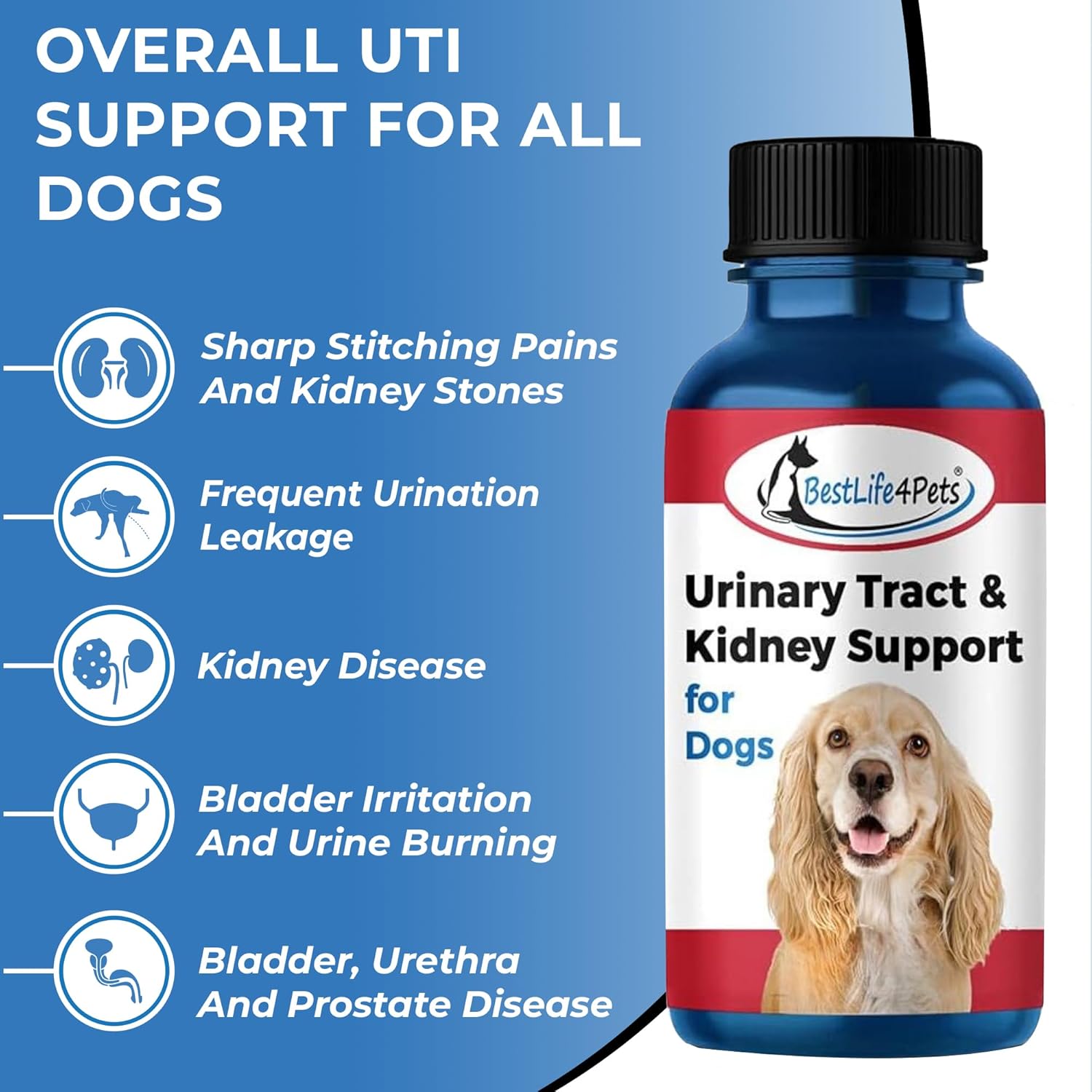 Natural Dog UTI Kidney Support Supplement for Urinary Tract Infections - 2 Pack