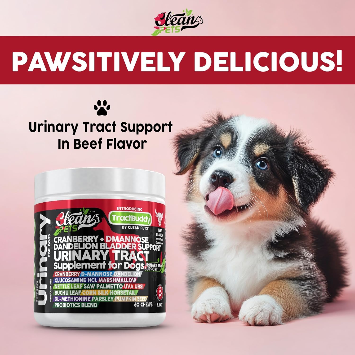 Natural Dog UTI Support Supplement with Cranberry, D-Mannose, and Herbal Ingredients for Urinary Tract Health and Bladder Stones
