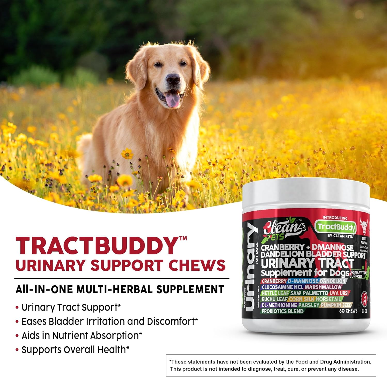 Natural Dog UTI Support Supplement with Cranberry, D-Mannose, and Herbal Ingredients for Urinary Tract Health and Bladder Stones