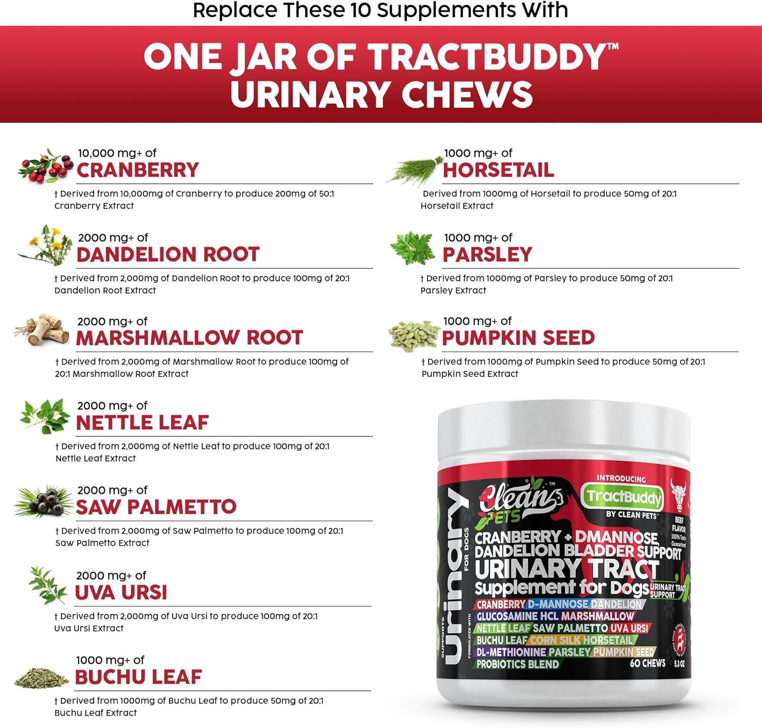 Natural Dog UTI Support Supplement with Cranberry, D-Mannose, and Herbal Ingredients for Urinary Tract Health and Bladder Stones