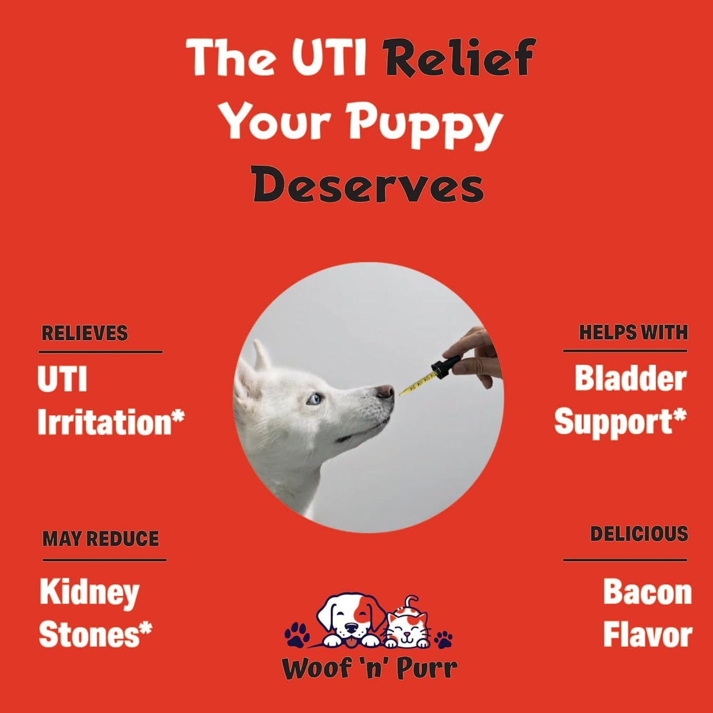 Natural Dog UTI Treatment with Cranberry - Bacon Flavored Supplement for Dog Urinary Tract Infections - 1 fl oz