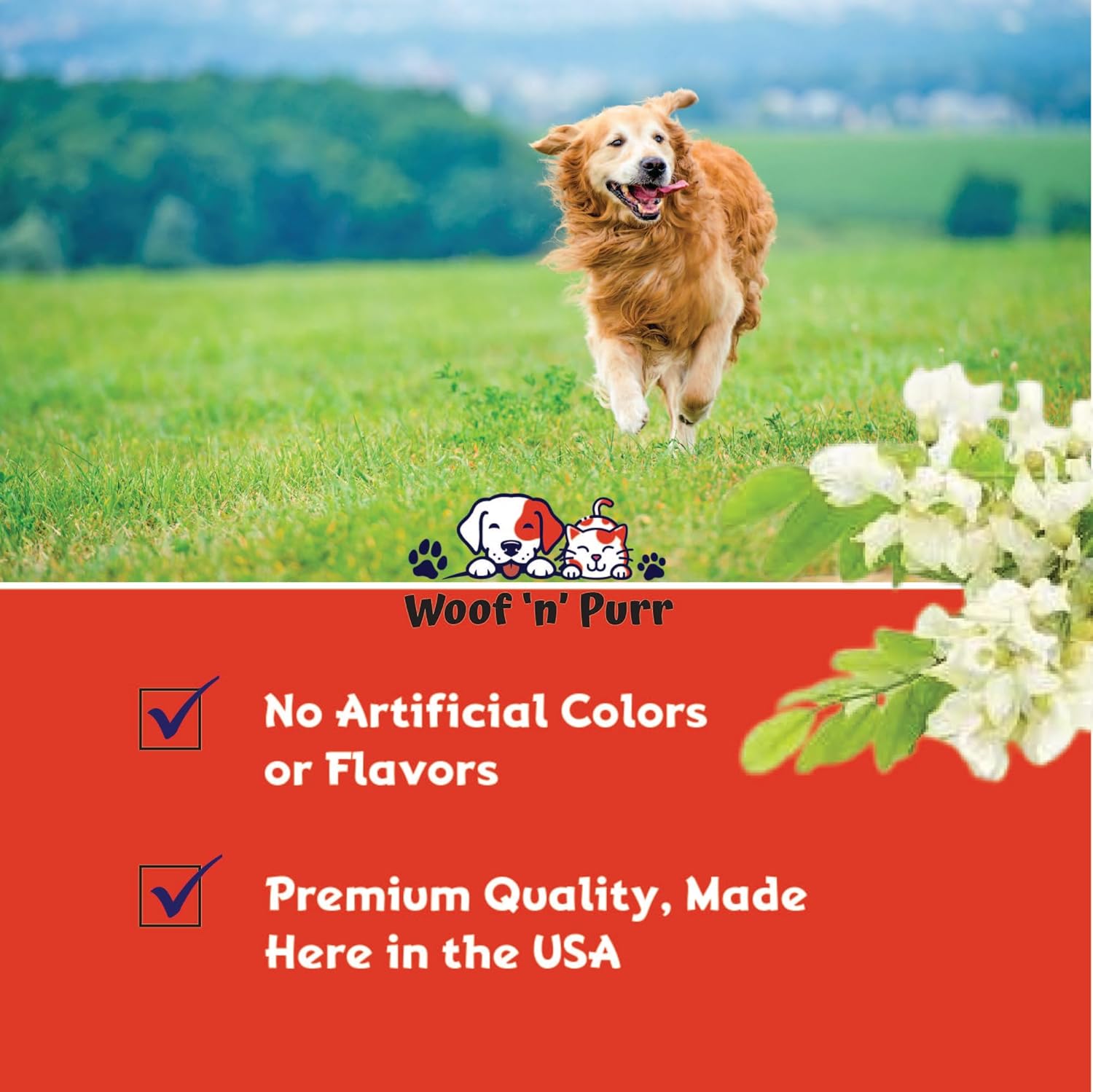 Natural Dog UTI Treatment with Cranberry - Bacon Flavored Supplement for Dog Urinary Tract Infections - 1 fl oz