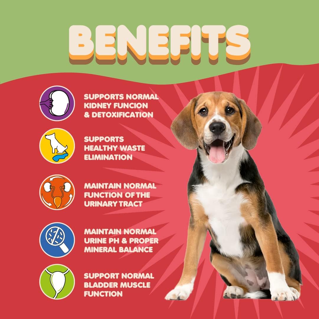 Natural Dog UTI Treatment with Cranberry Supplement Powder - Supports Kidney Health & Dog Incontinence - Puppy Supplies for Healthy Dog Pee