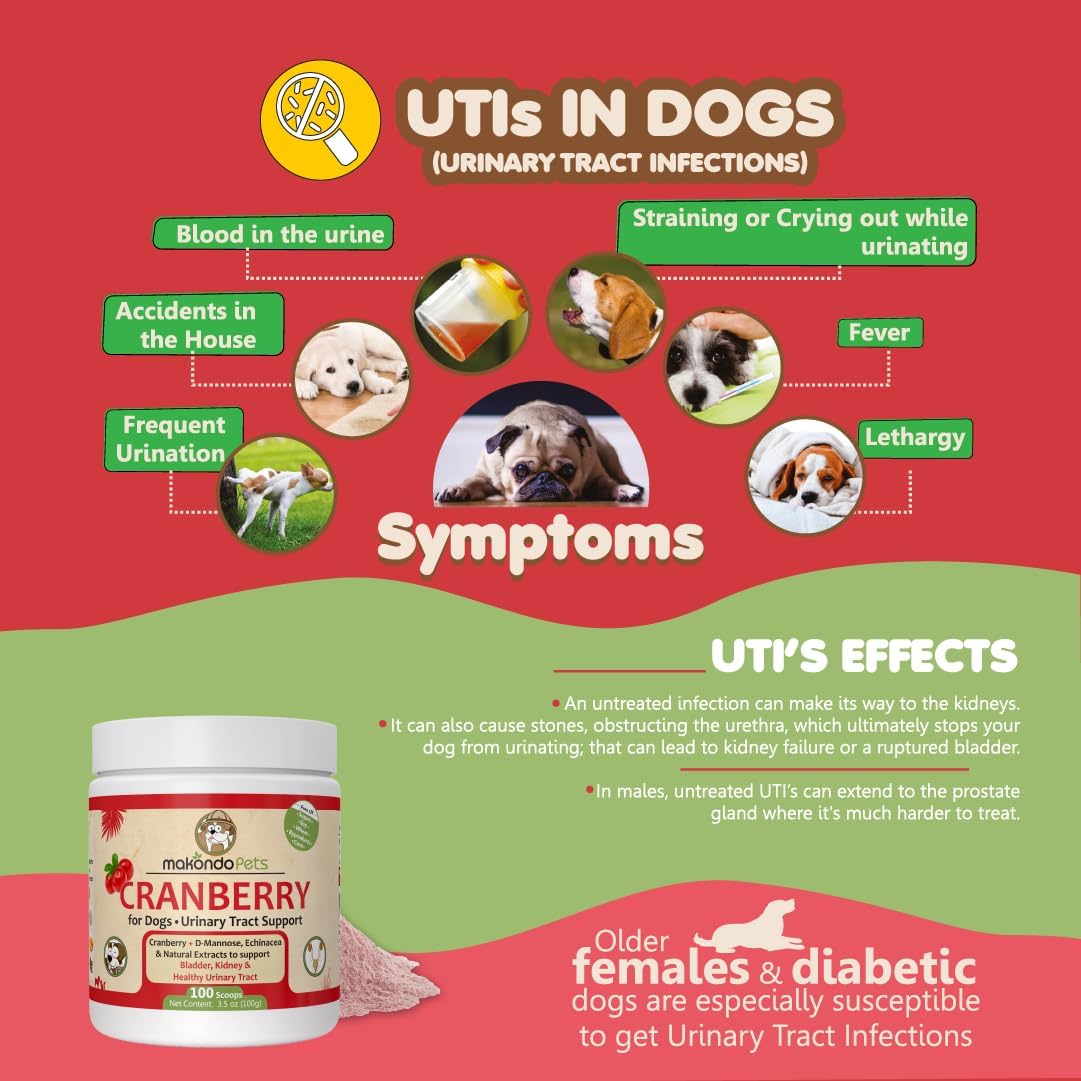 Natural Dog UTI Treatment with Cranberry Supplement Powder - Supports Kidney Health & Dog Incontinence - Puppy Supplies for Healthy Dog Pee