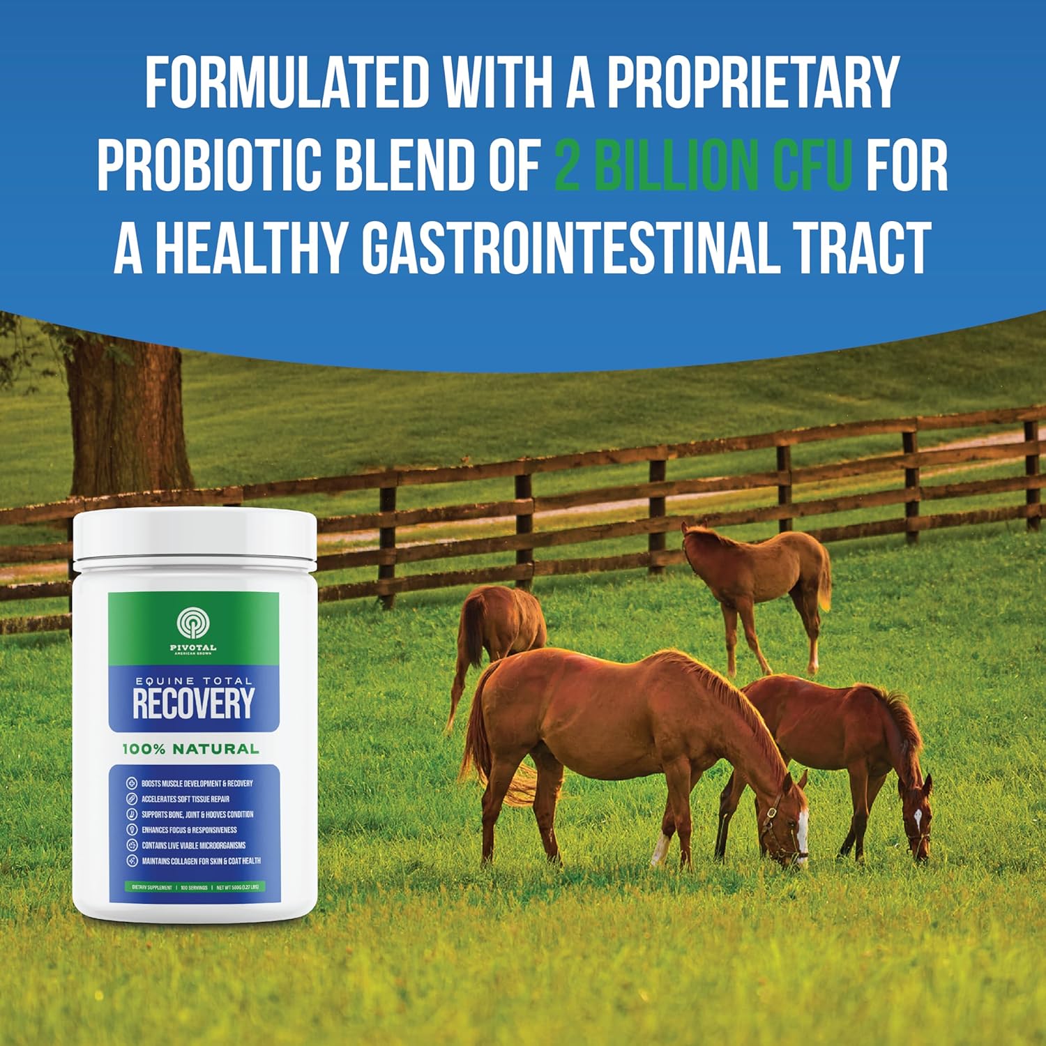 Natural Equine Joint Support Supplement with 9 Amino Acids and Probiotics for Horses - Total Recovery Formula - No Added Sugar - 100 Servings