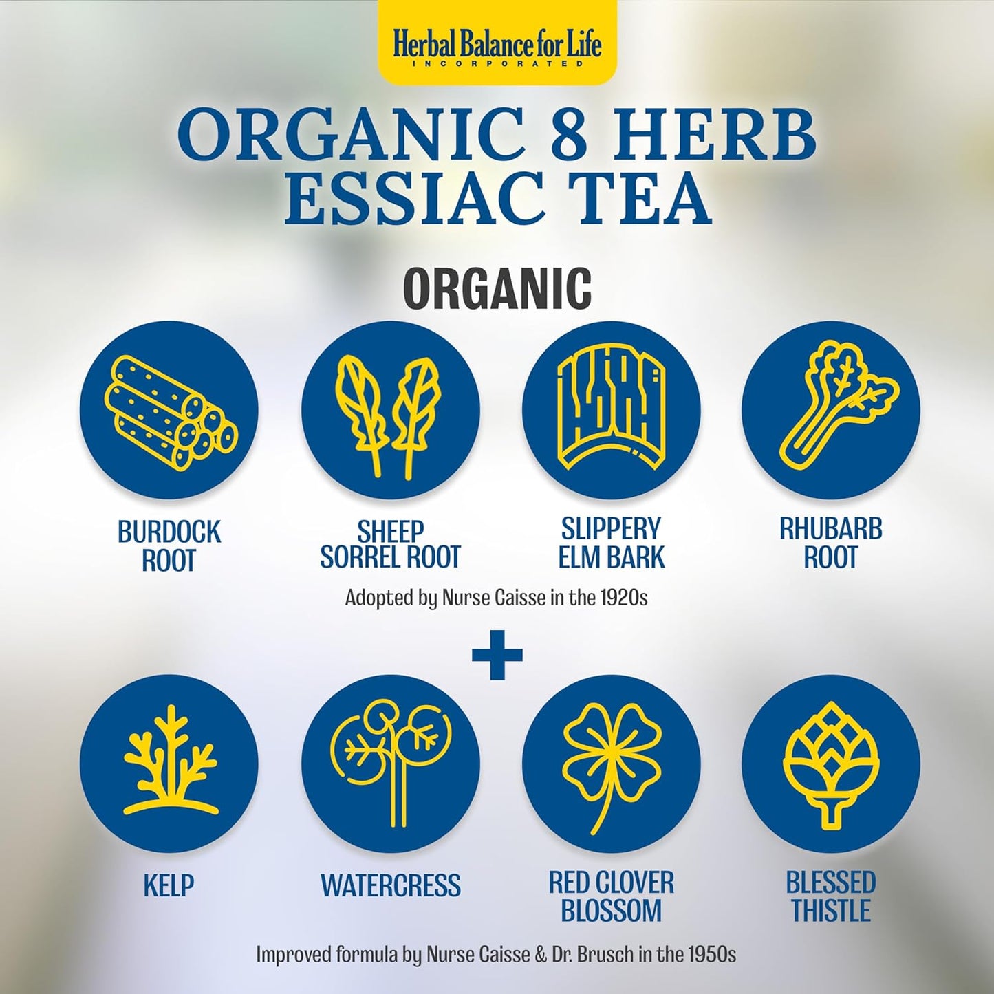 Natural Essiac Tea Capsules with Sheep Sorel Roots - Potent 8-Herb Formula by Nurse Rene Caisse & Dr. Charles Brusch