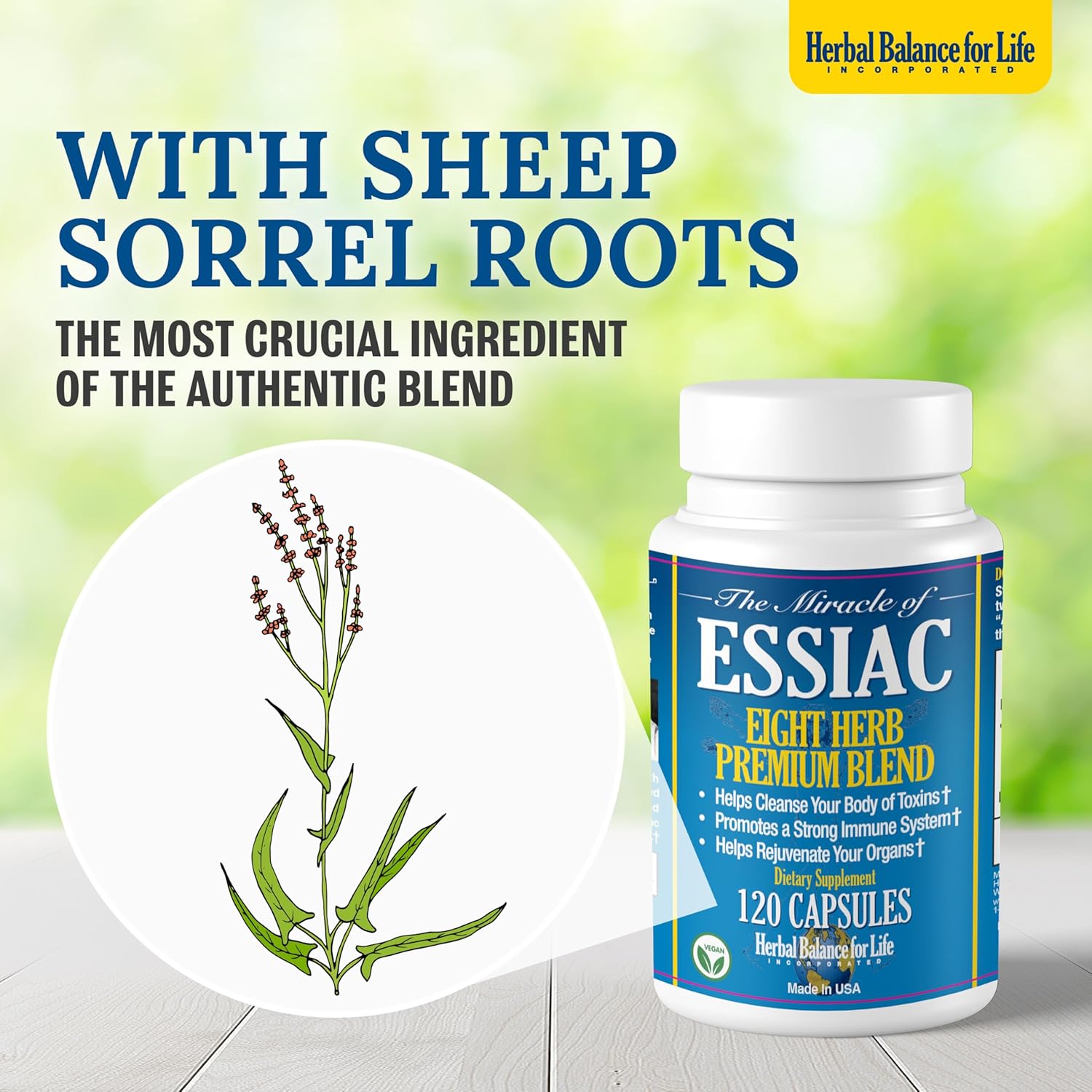 Natural Essiac Tea Capsules with Sheep Sorel Roots - Potent 8-Herb Formula by Nurse Rene Caisse & Dr. Charles Brusch