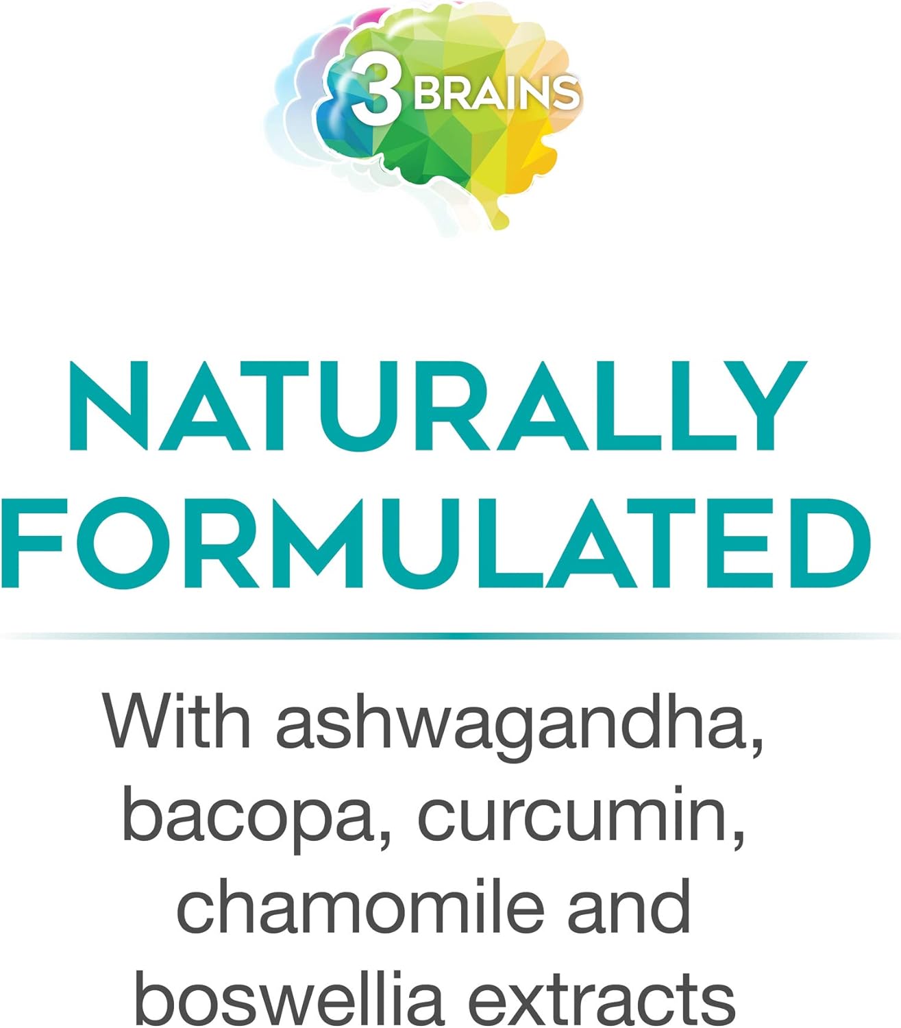 Natural Factors 3 Brains Brain Defense Dietary Supplement - Supports Memory & Function - Vegetarian - 90 Capsules