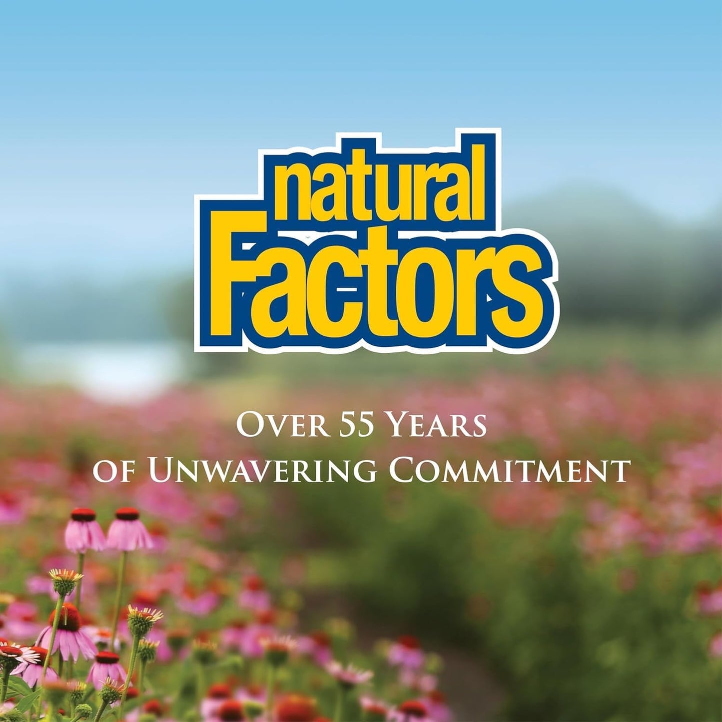 Natural Factors Vitamin C 1000mg Time Release Tablets for Powerful Antioxidant Protection - 90 Count