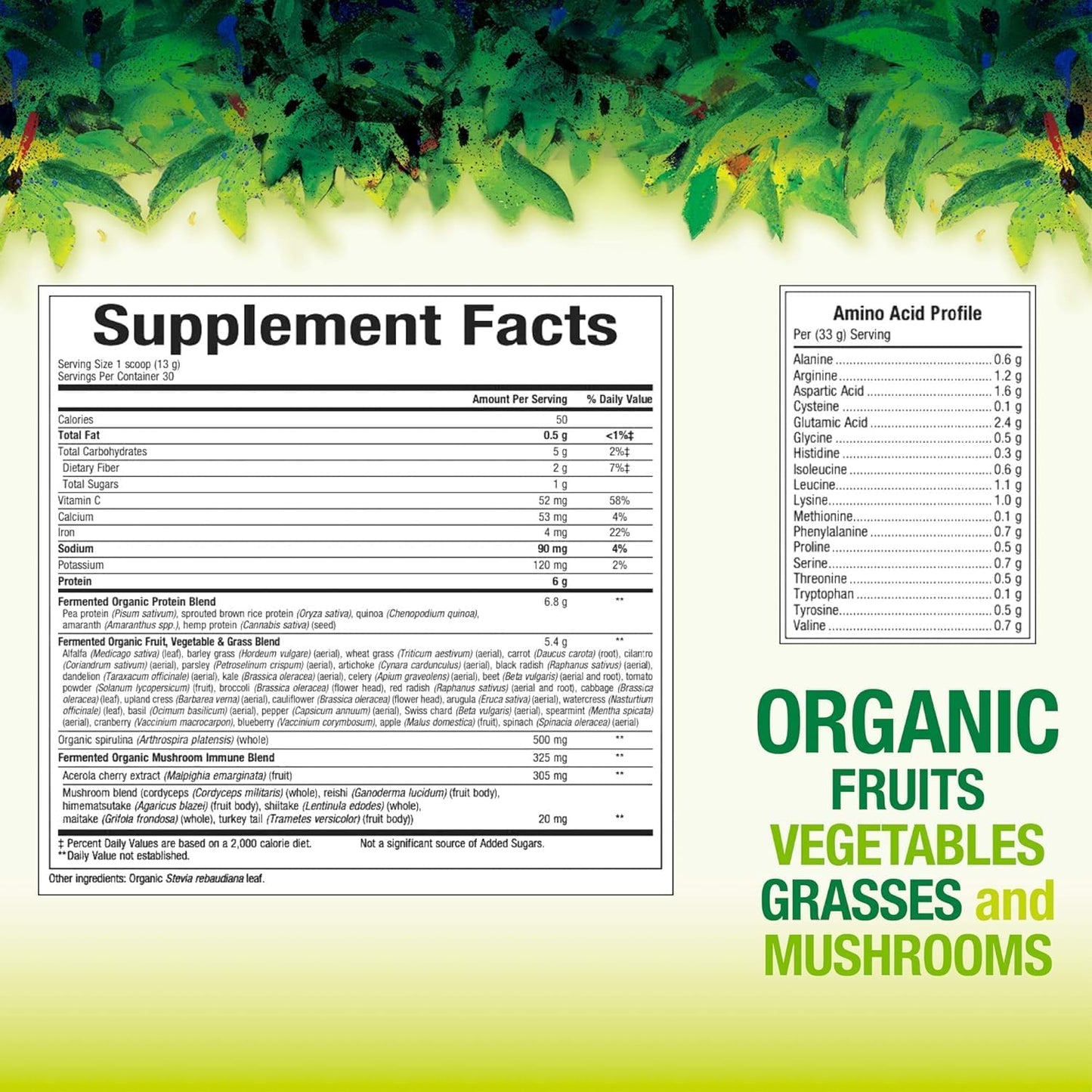 Natural Factors Whole Earth & Sea Organic Fermented Greens Supplement, 13.8 Oz Vegan Whole Food Powder