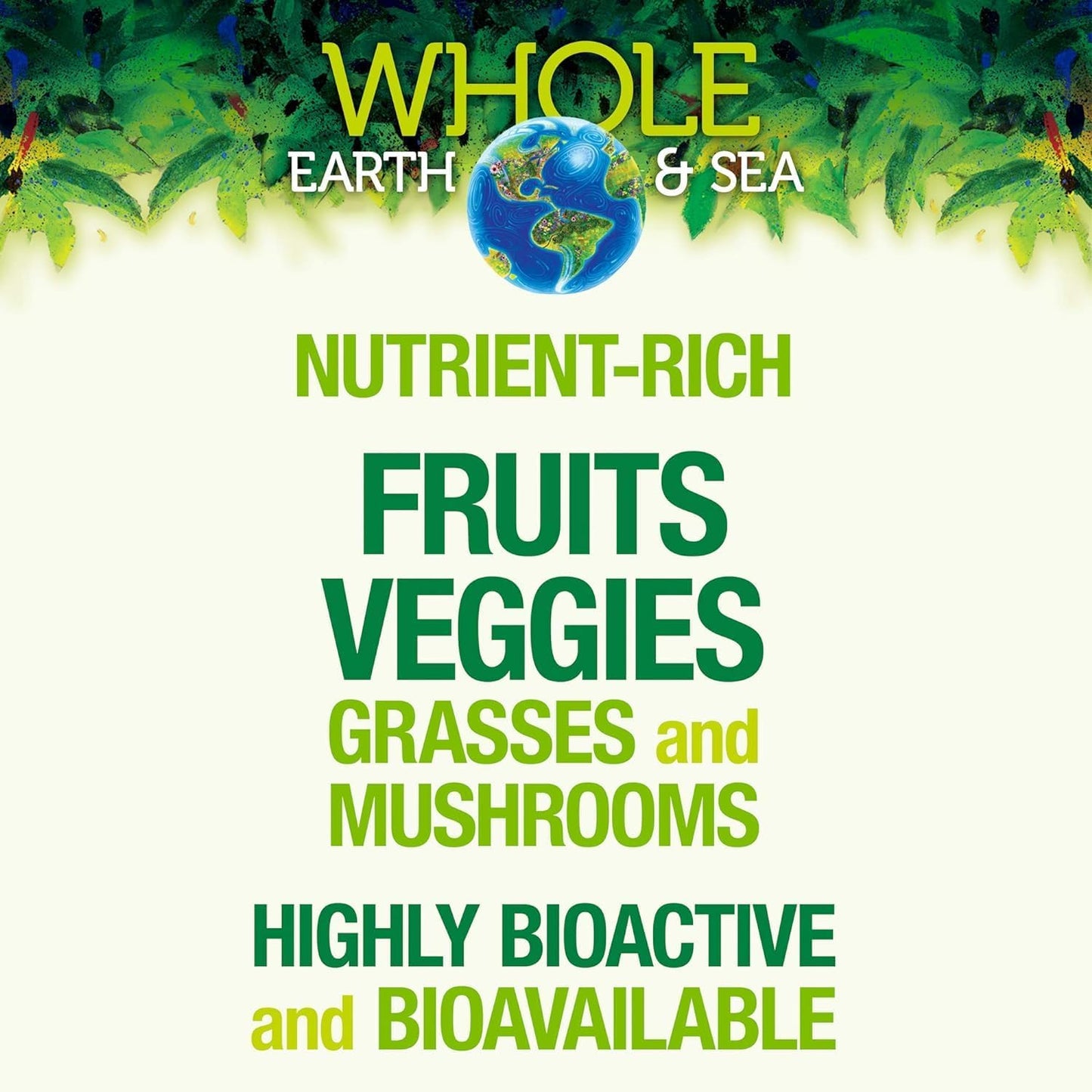 Natural Factors Whole Earth & Sea Organic Fermented Greens Supplement, 13.8 Oz Vegan Whole Food Powder