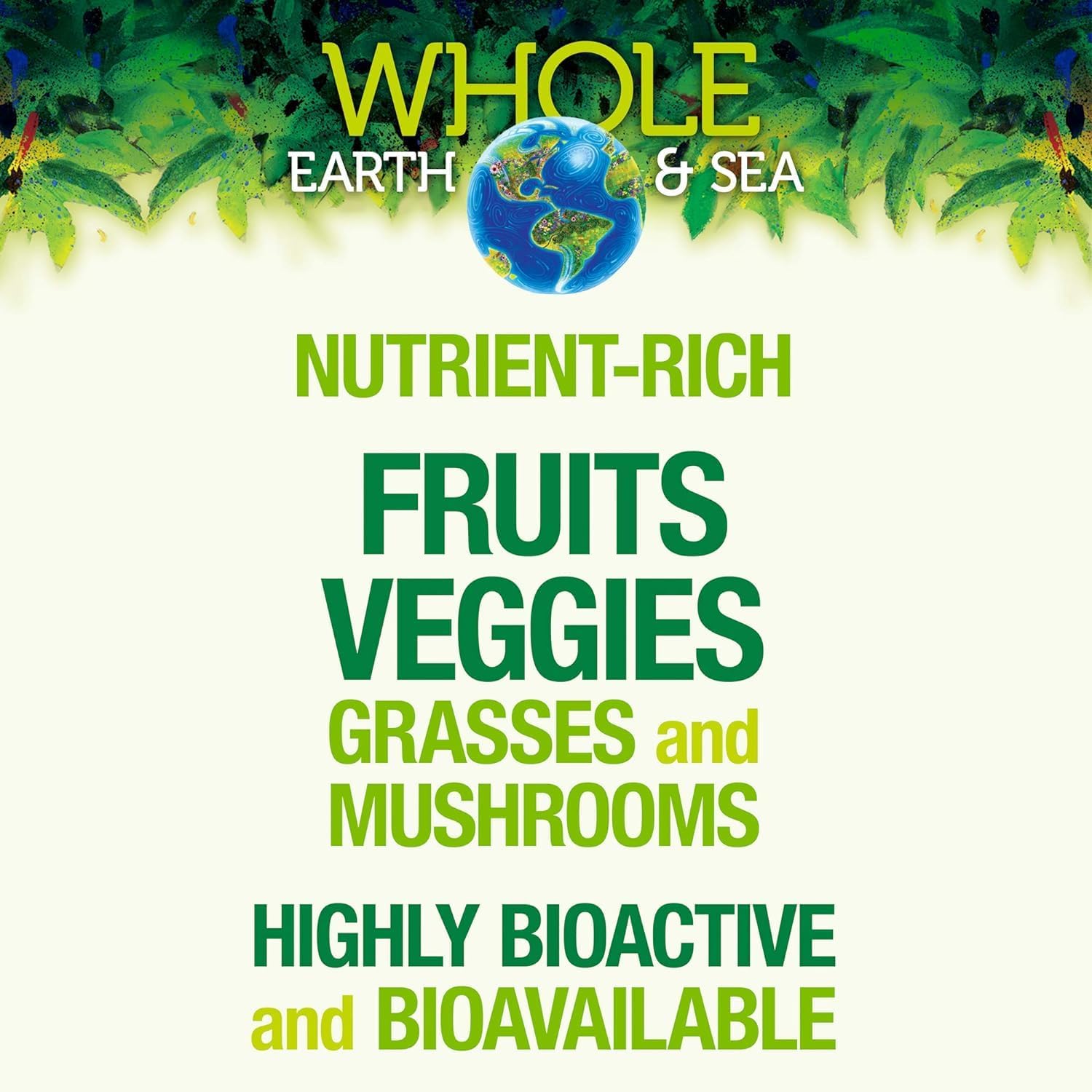 Natural Factors Whole Earth & Sea Organic Fermented Greens Supplement, 13.8 Oz Vegan Whole Food Powder