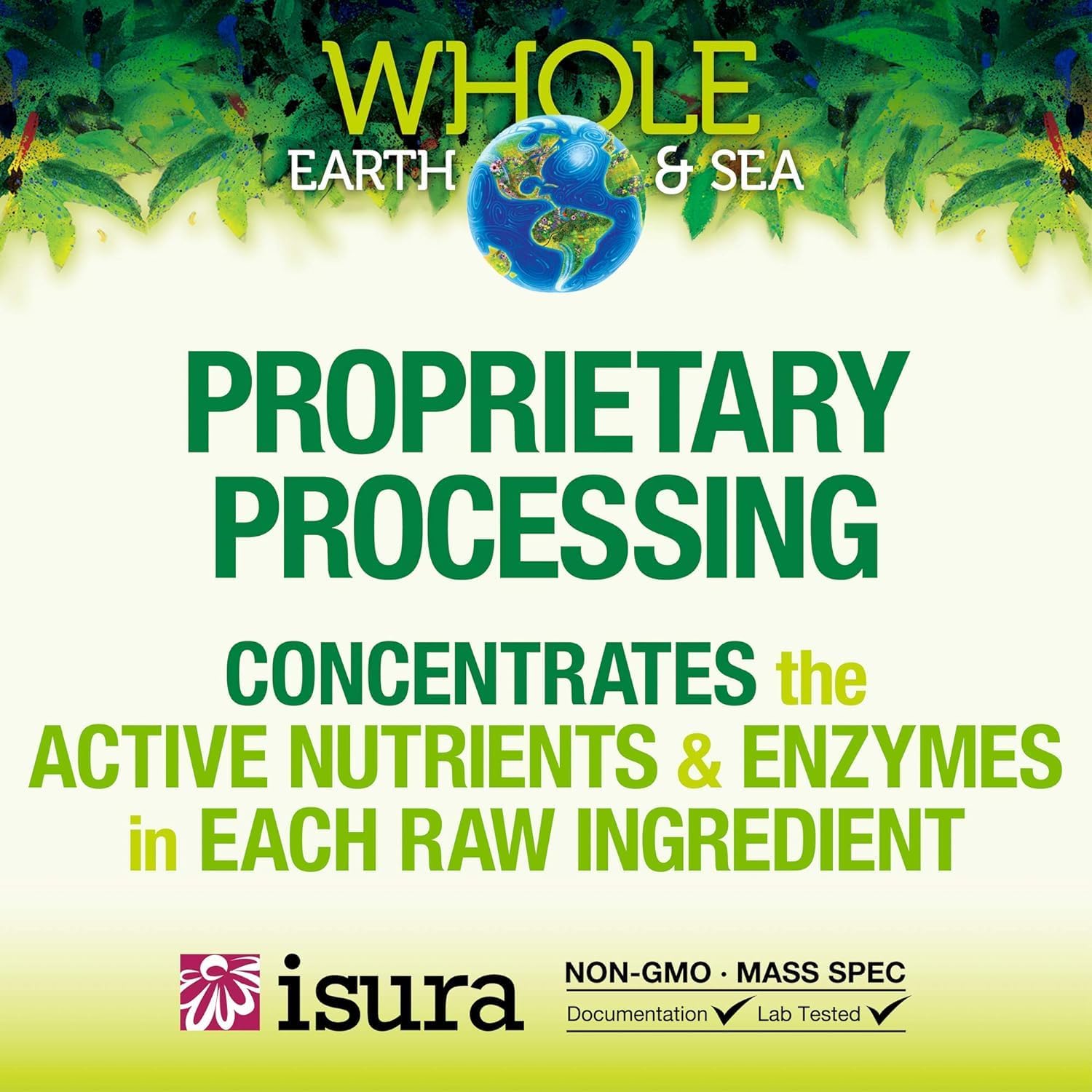 Natural Factors Whole Earth & Sea Organic Fermented Protein & Greens Supplement, Vegan, Unflavored - 1 lb 9 Oz