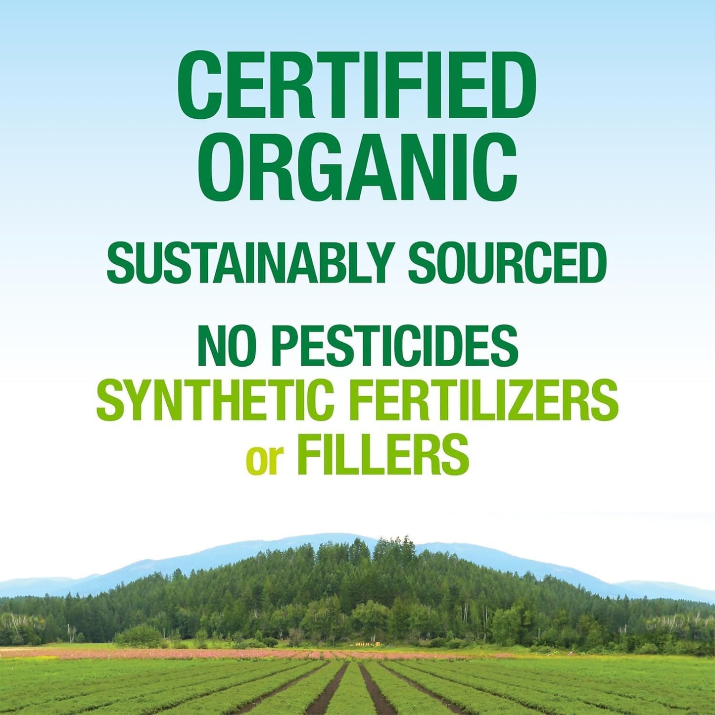 Natural Factors Whole Earth & Sea Organic Fermented Greens Supplement, 13.8 Oz Vegan Whole Food Powder