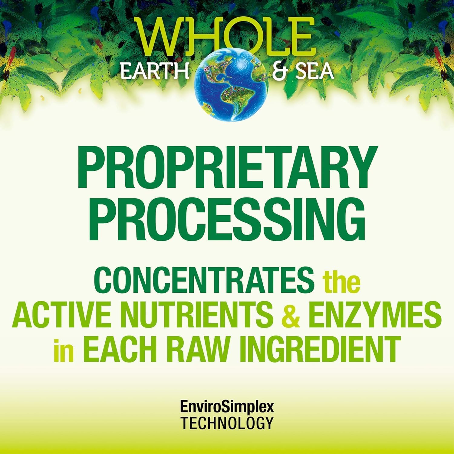 Natural Factors Whole Earth & Sea Organic Fermented Greens Supplement, 13.8 Oz Vegan Whole Food Powder