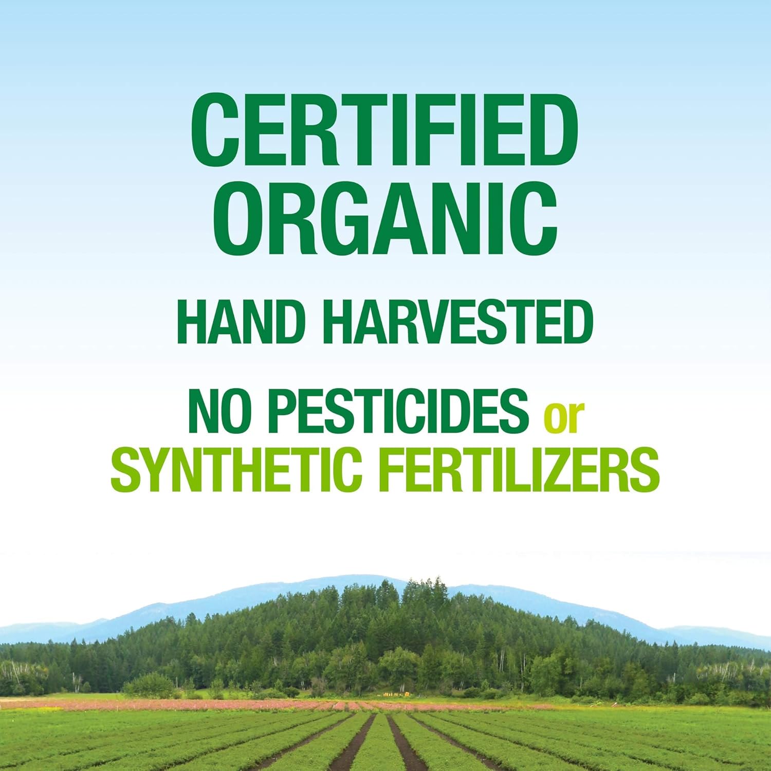 Natural Factors Whole Earth & Sea Sunflower Vitamin E Whole Food Supplement