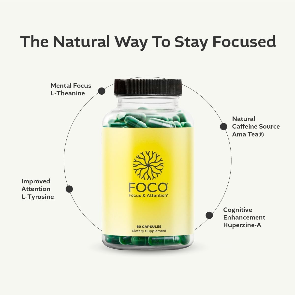 Natural Focus Supplement for Teens & Adults (13+) - Boost Memory and Attention - Vegan, Gluten Free, Non GMO Brain Vitamins - Fast-Acting Formula