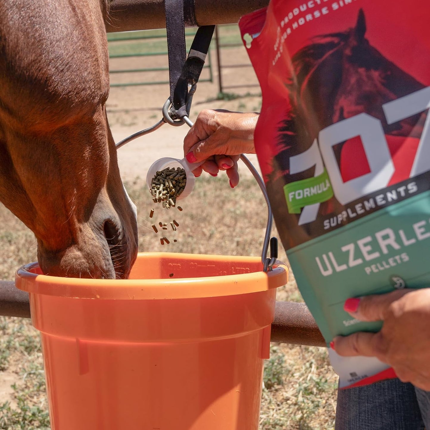 Natural Gut Support Equine Supplement for Horses at Risk of Ulcers - 7.5lb Bag Formula 707 ULZERless