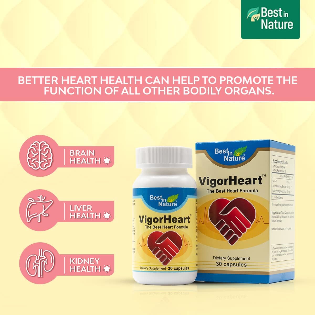 Natural Heart Health Supplement with Coq 10, Salvia Miltiorrhiza, Panax Pseudoginseng - 30 Capsules