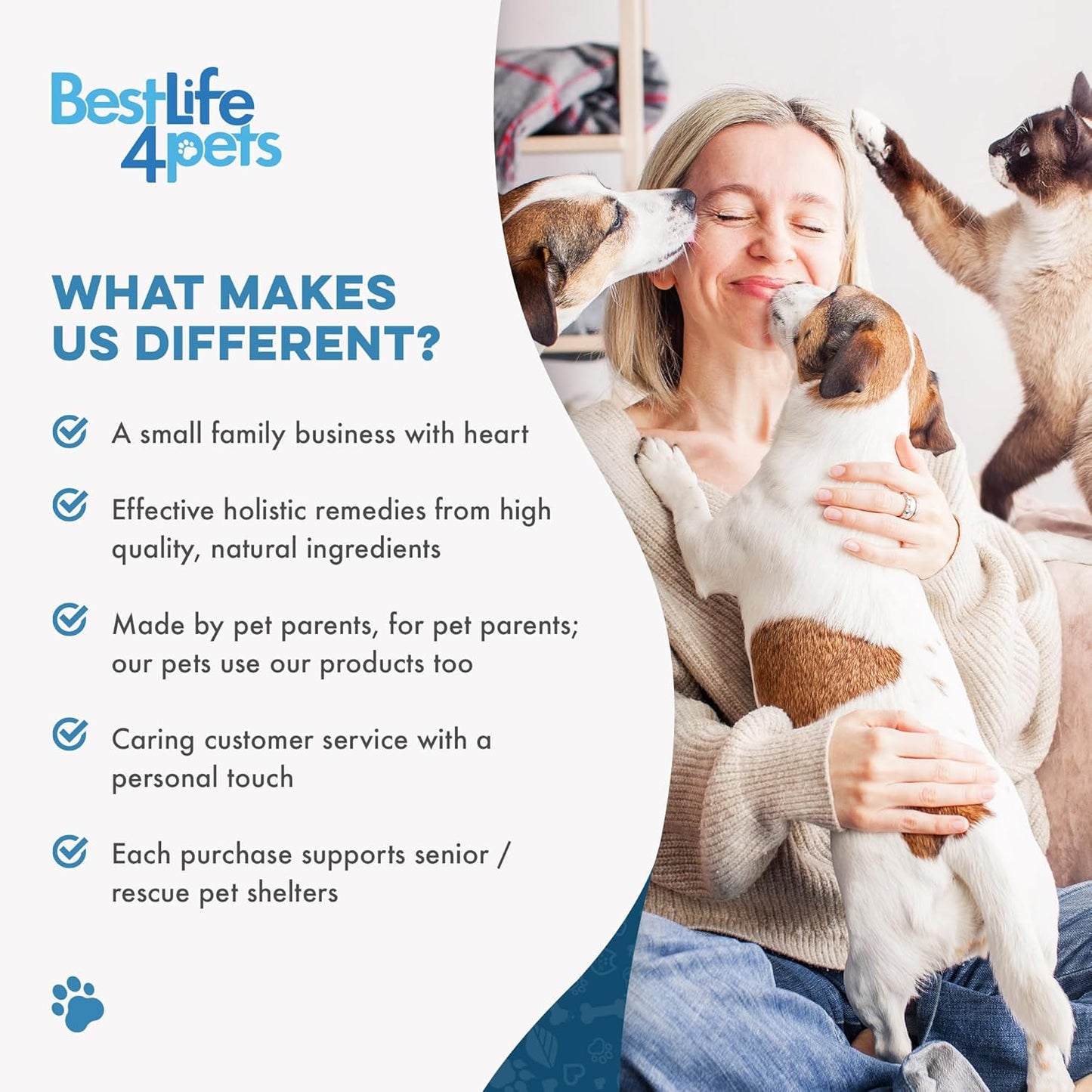 Natural Hepatic Liver Support for Cats - Dissolvable Homeopathic Feline Supplement for Digestive Health and Nutrient Absorption - 400 All Natural Pills