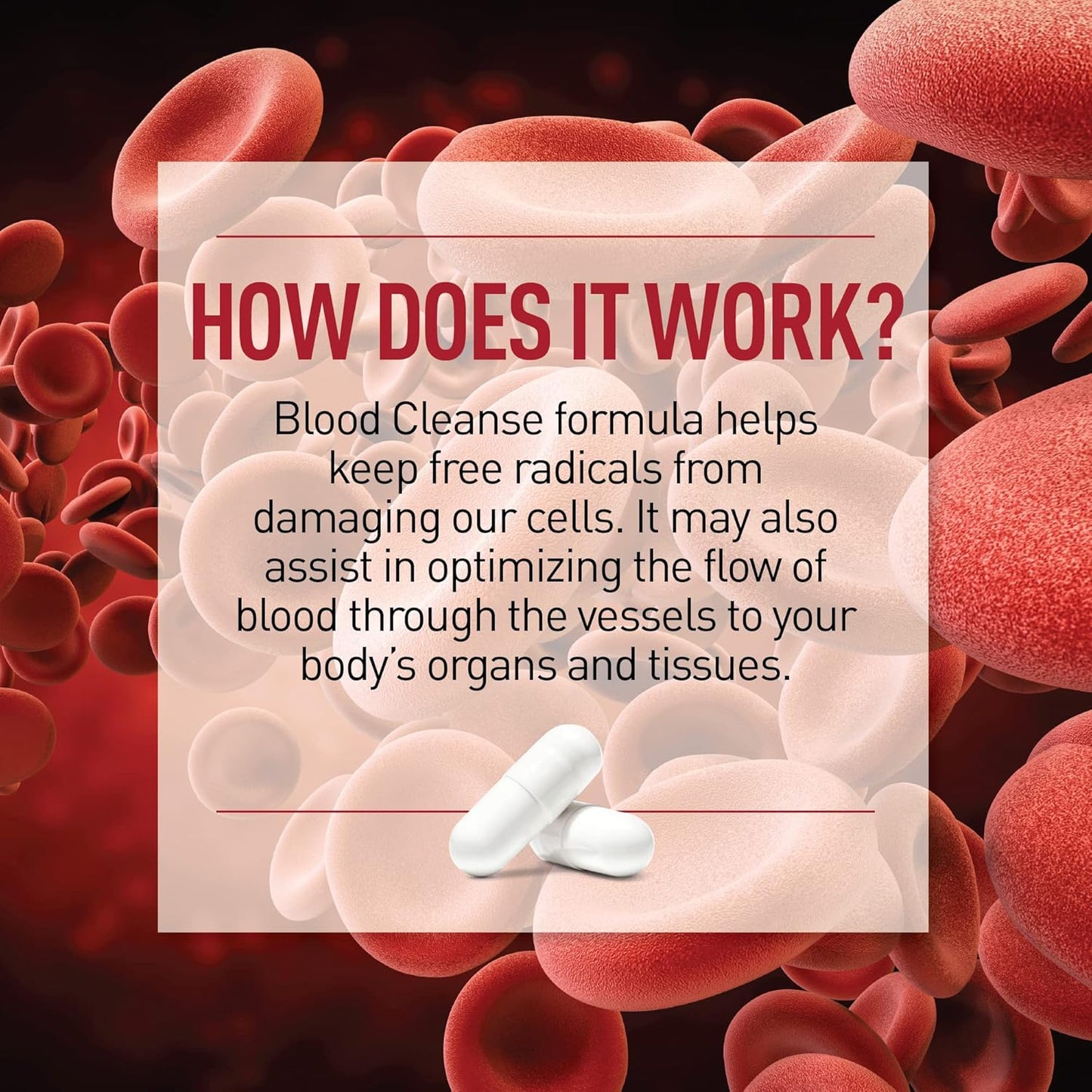 Natural Herbal Blood Cleansing Dietary Supplement with Gluten-Free Ingredients (90 Capsules)