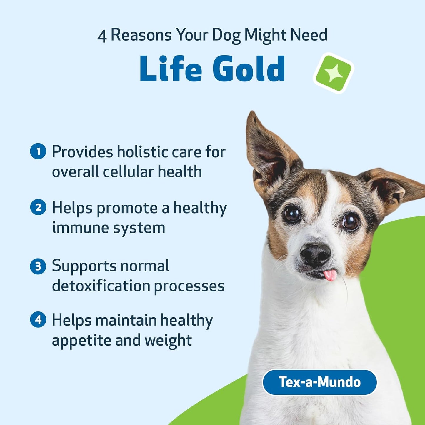 Natural Herbal Immune Support Supplement for Dogs - Pet Wellbeing Life Gold - Vet-Formulated Antioxidant Protection - 2 oz