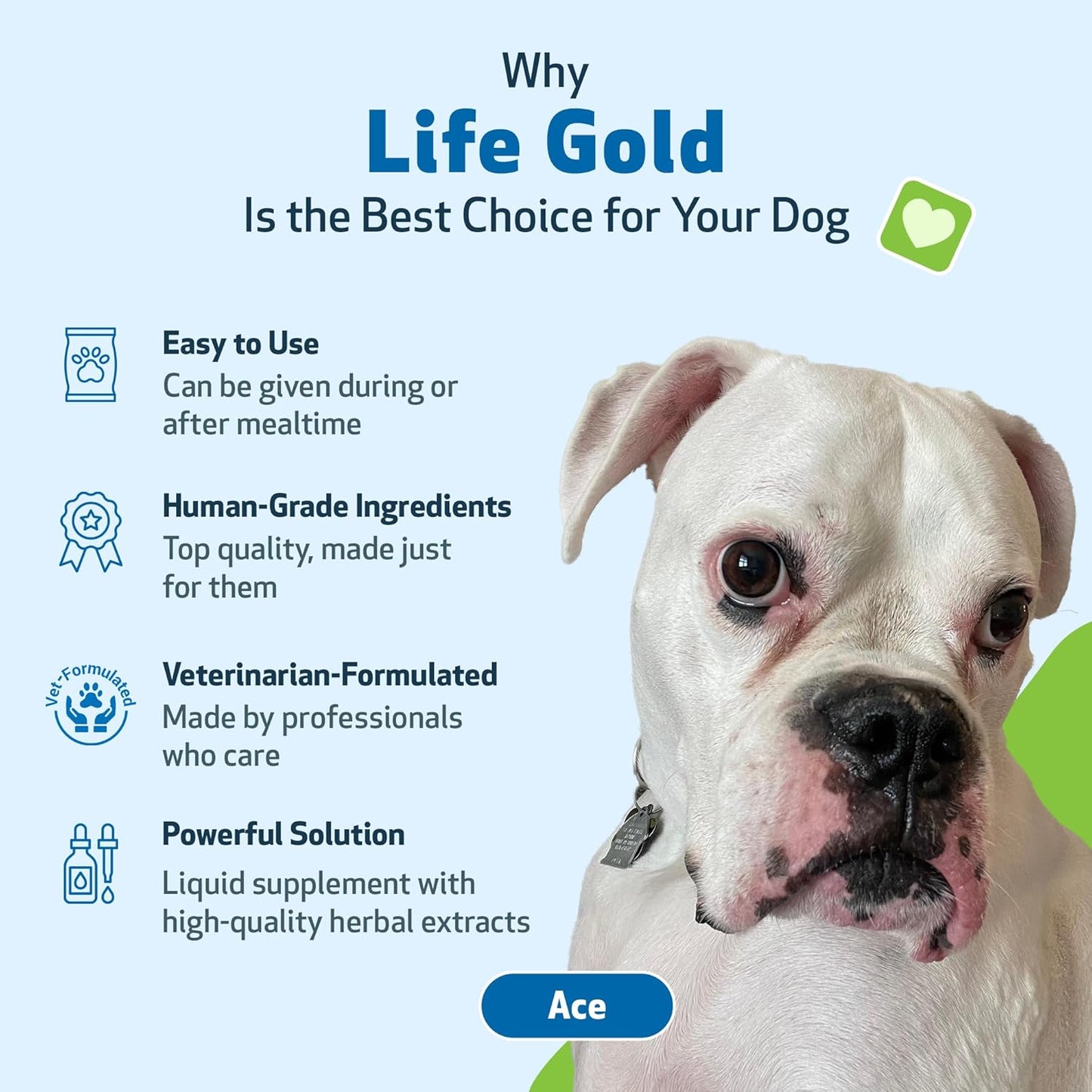 Natural Herbal Immune Support Supplement for Dogs - Pet Wellbeing Life Gold - Vet-Formulated Antioxidant Protection - 2 oz