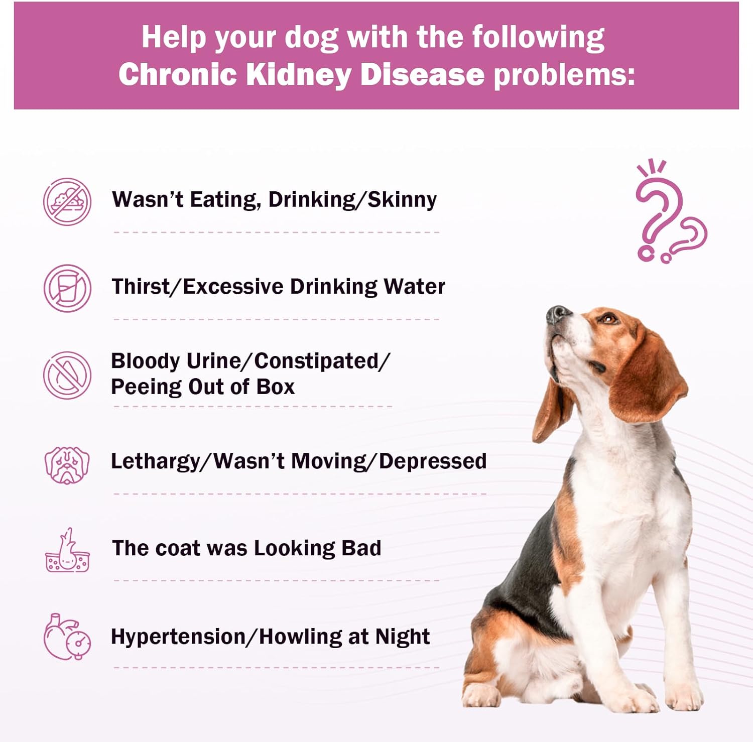 Natural Herbal Kidney Support Drops for Dogs - 2 oz - Improve Kidney Function, Blood in Urine, Appetite - Promotes Health