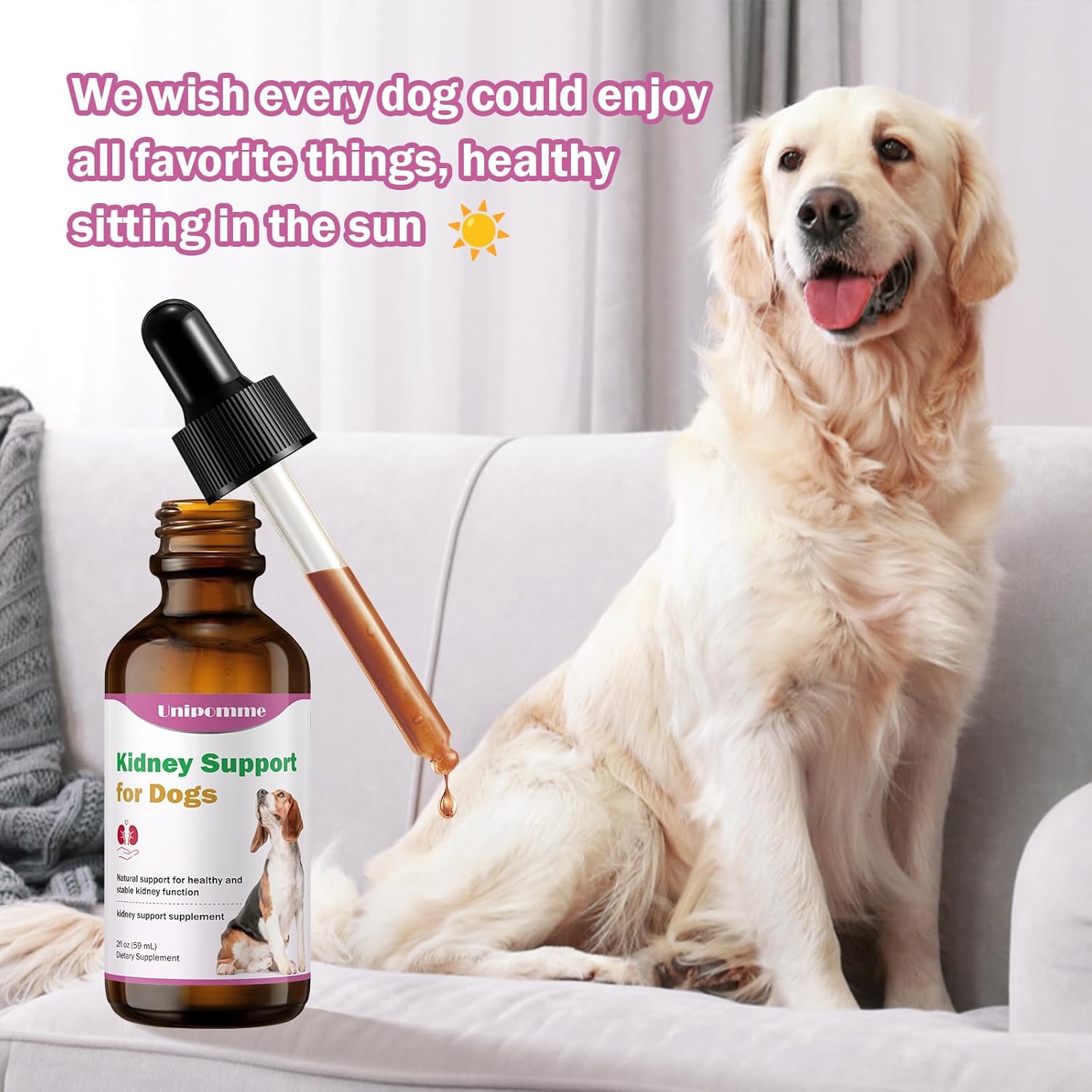 Natural Herbal Kidney Support Drops for Dogs - 2 oz - Improve Kidney Function, Blood in Urine, Appetite - Promotes Health