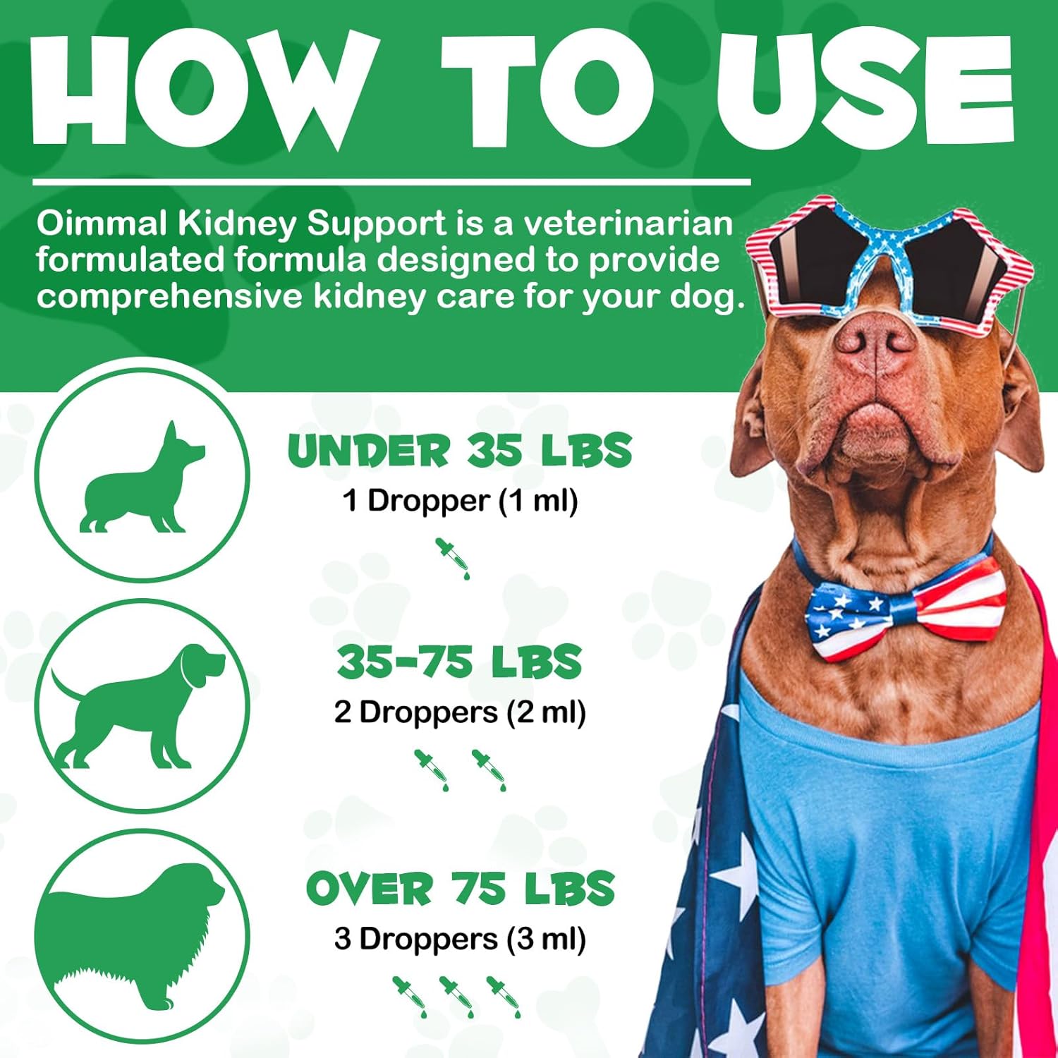 Natural Herbal Kidney Support Supplement for Dogs - Immune & Urinary Health Function - 2 Fl Oz