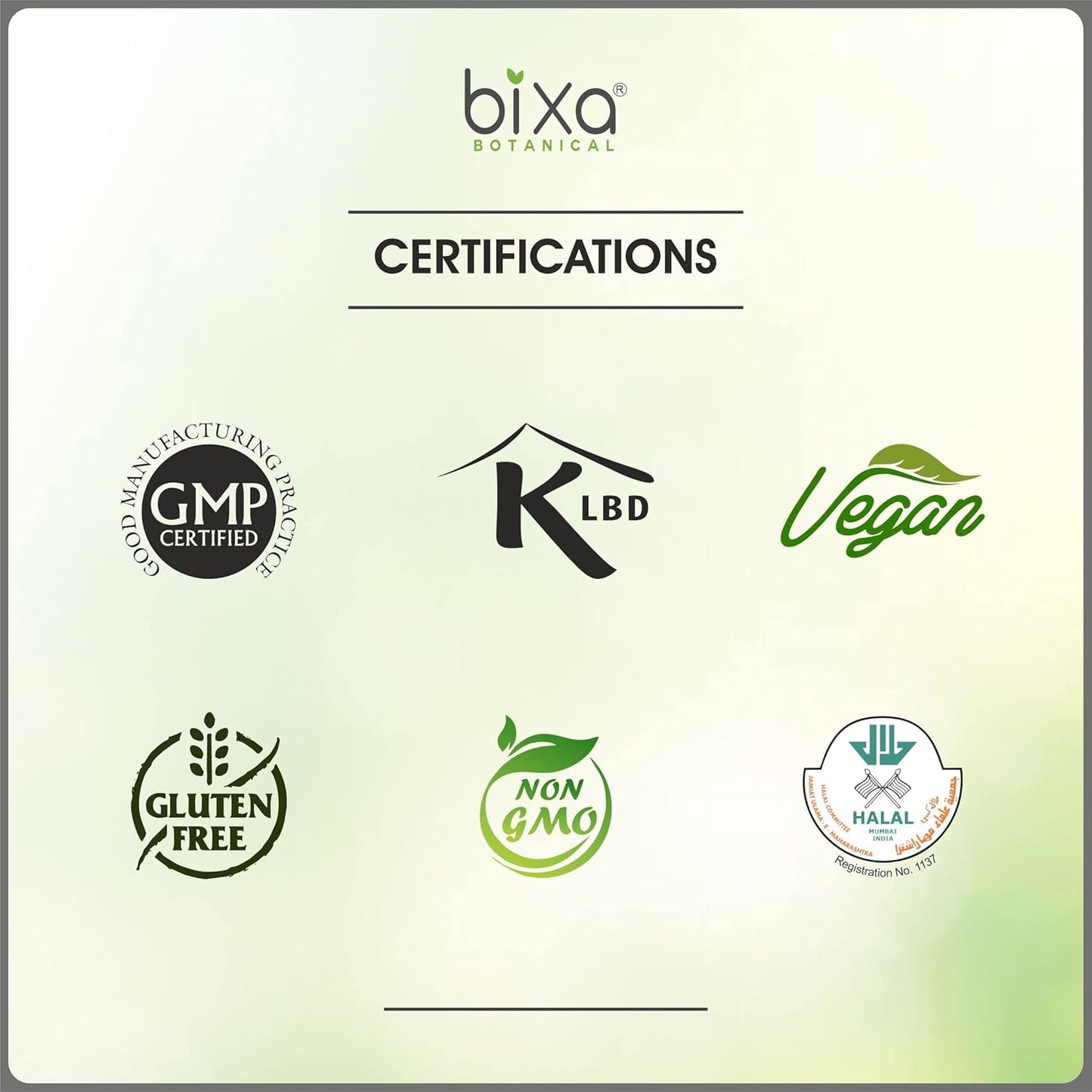 Natural Herbal Liver Support Bundle | Bixa Botanical Andrographis + Guduchi Powder | Wellness Supplement