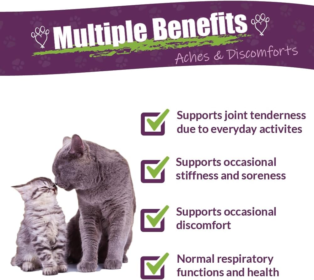 Natural Herbal Supplement for Cats - Adizone C | Relieves Soreness, Stiffness, Aches | 4 oz Bottle | Made in USA
