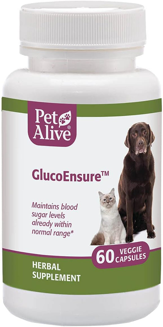 Natural Herbal Supplement for Maintaining Normal Blood Sugar Levels in Pets - PetAlive GlucoEnsure