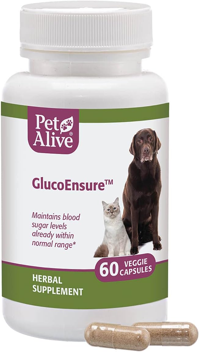 Natural Herbal Supplement for Maintaining Normal Blood Sugar Levels in Pets - PetAlive GlucoEnsure
